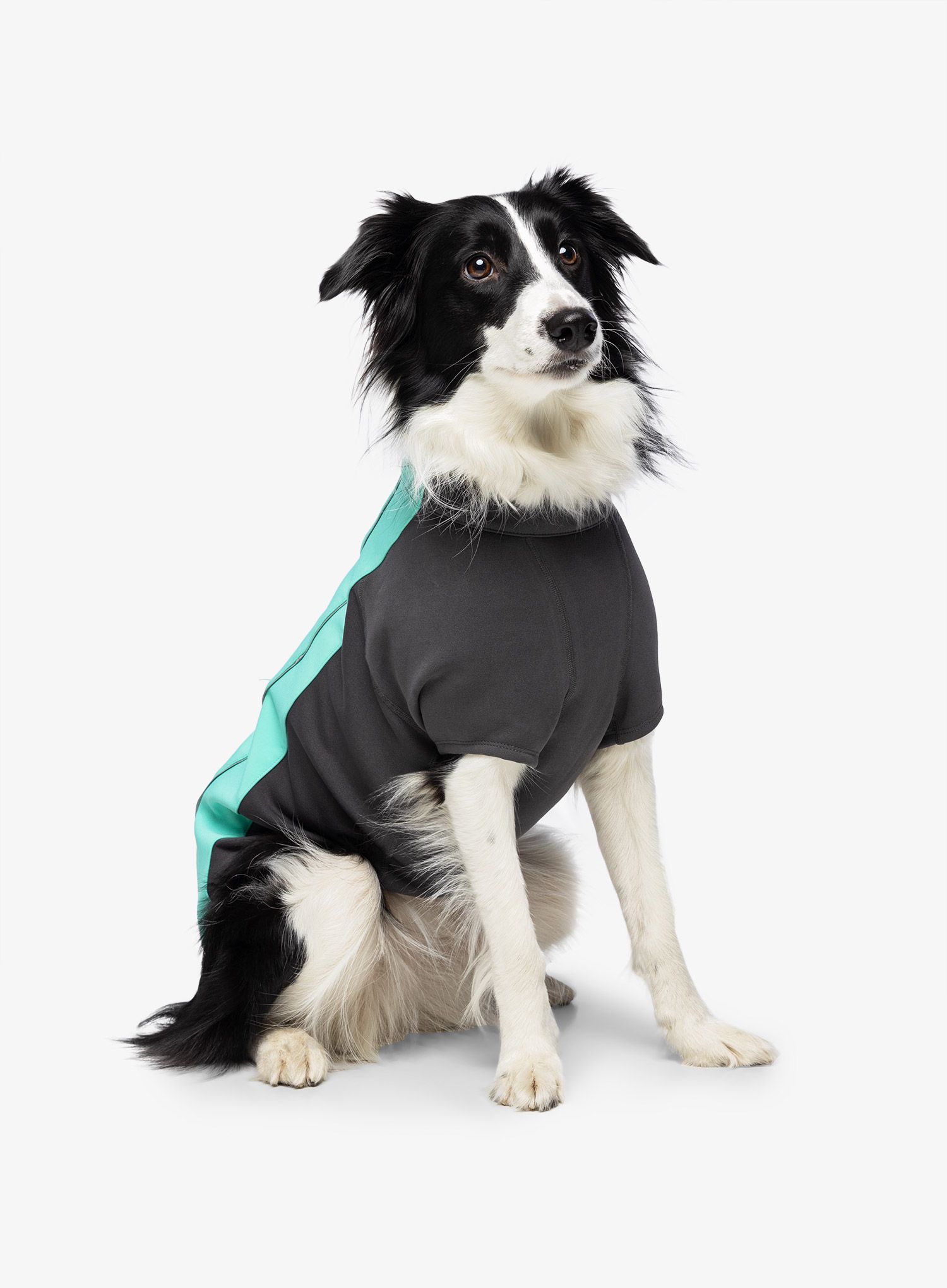 Pláštěnka pro psa Ruffwear Cloud Chaser Dog Jacket - aurora teal