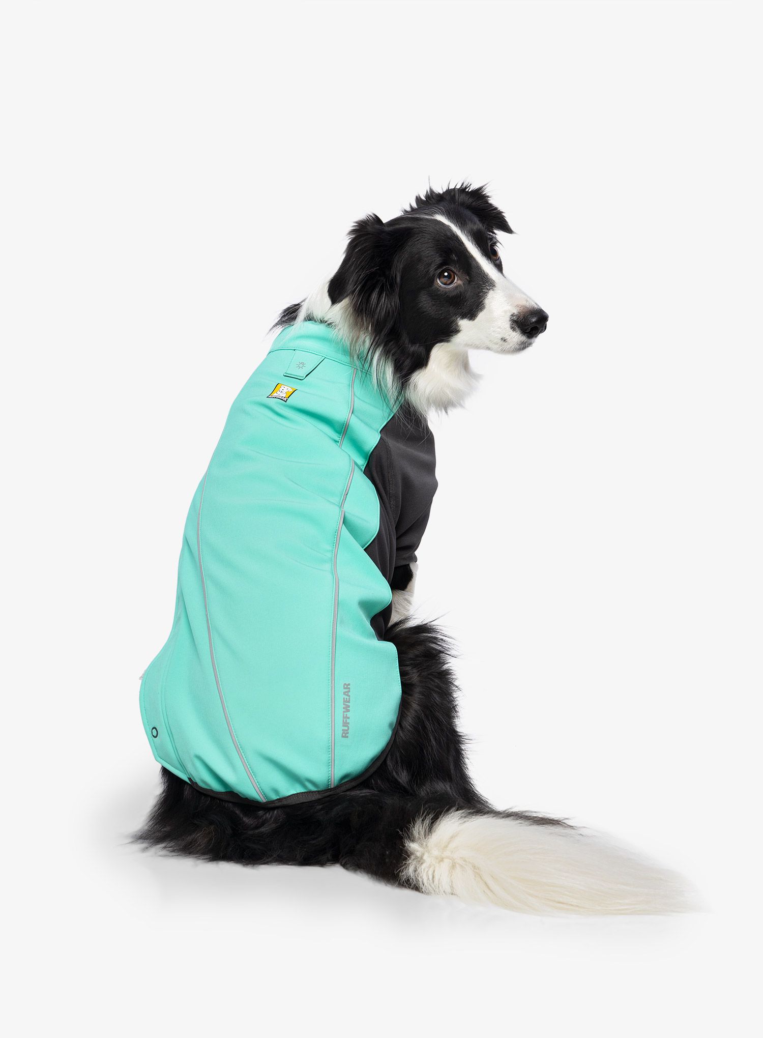 Pláštěnka pro psa Ruffwear Cloud Chaser Dog Jacket - aurora teal