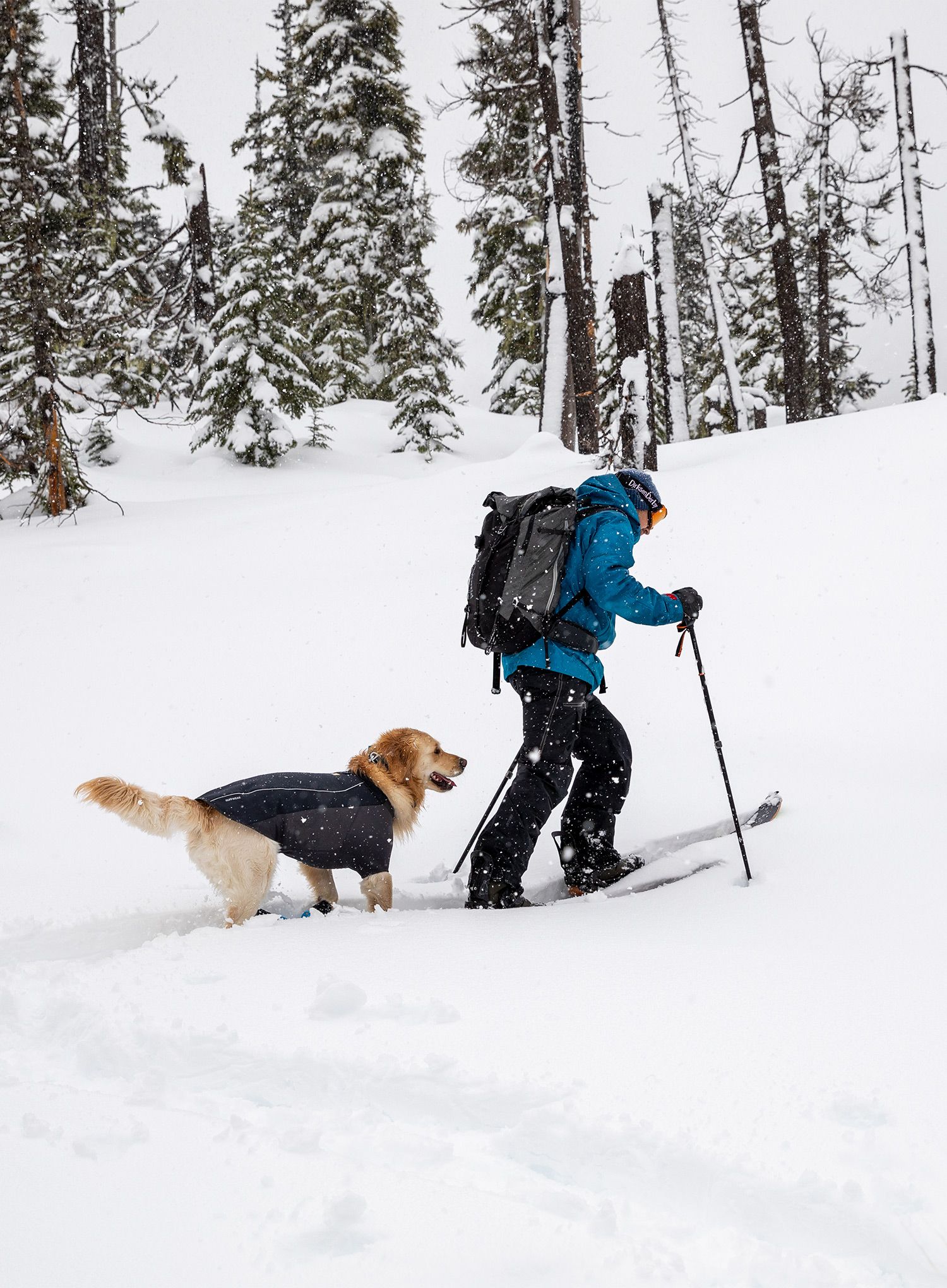 Pláštěnka pro psa Ruffwear Cloud Chaser Dog Jacket - obs black
