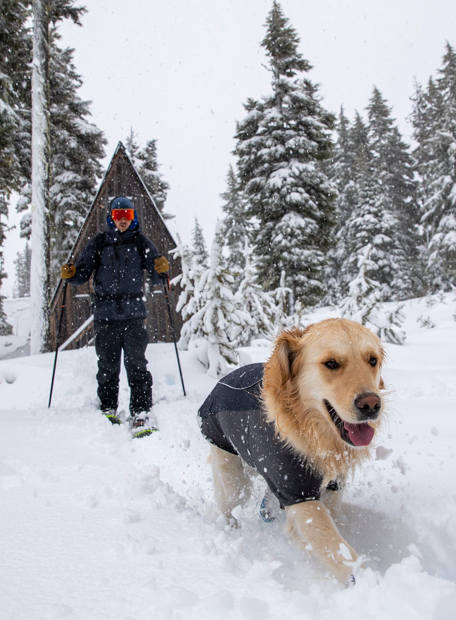 Pláštěnka pro psa Ruffwear Cloud Chaser Dog Jacket - obs black