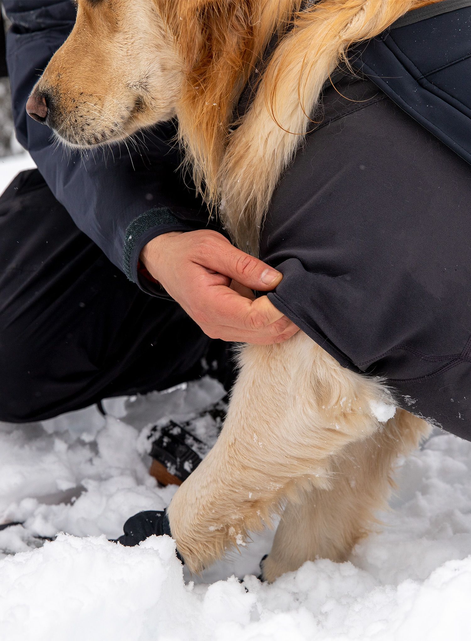 Pláštěnka pro psa Ruffwear Cloud Chaser Dog Jacket - obs black