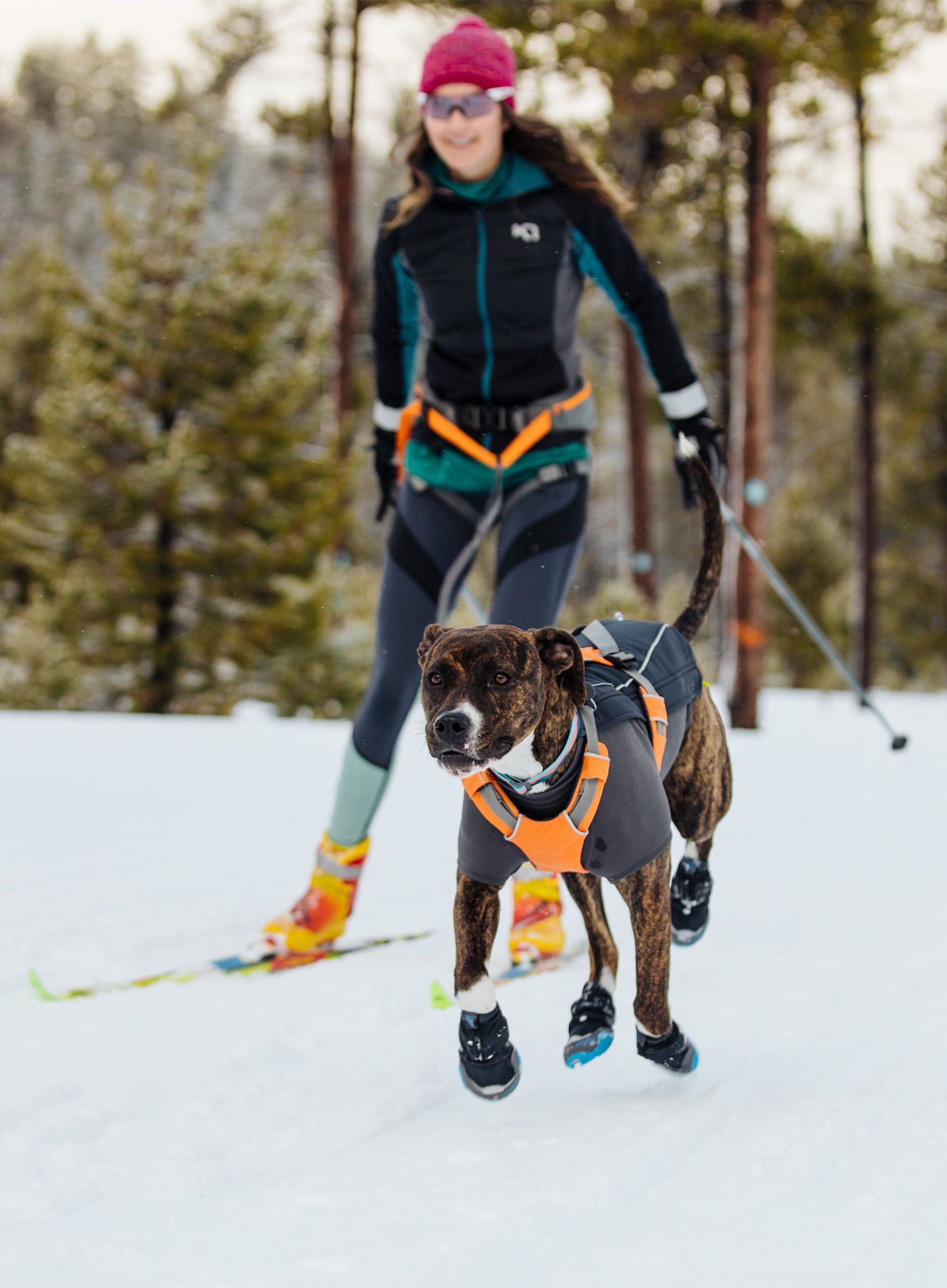 Pláštěnka pro psa Ruffwear Cloud Chaser Dog Jacket - obs black