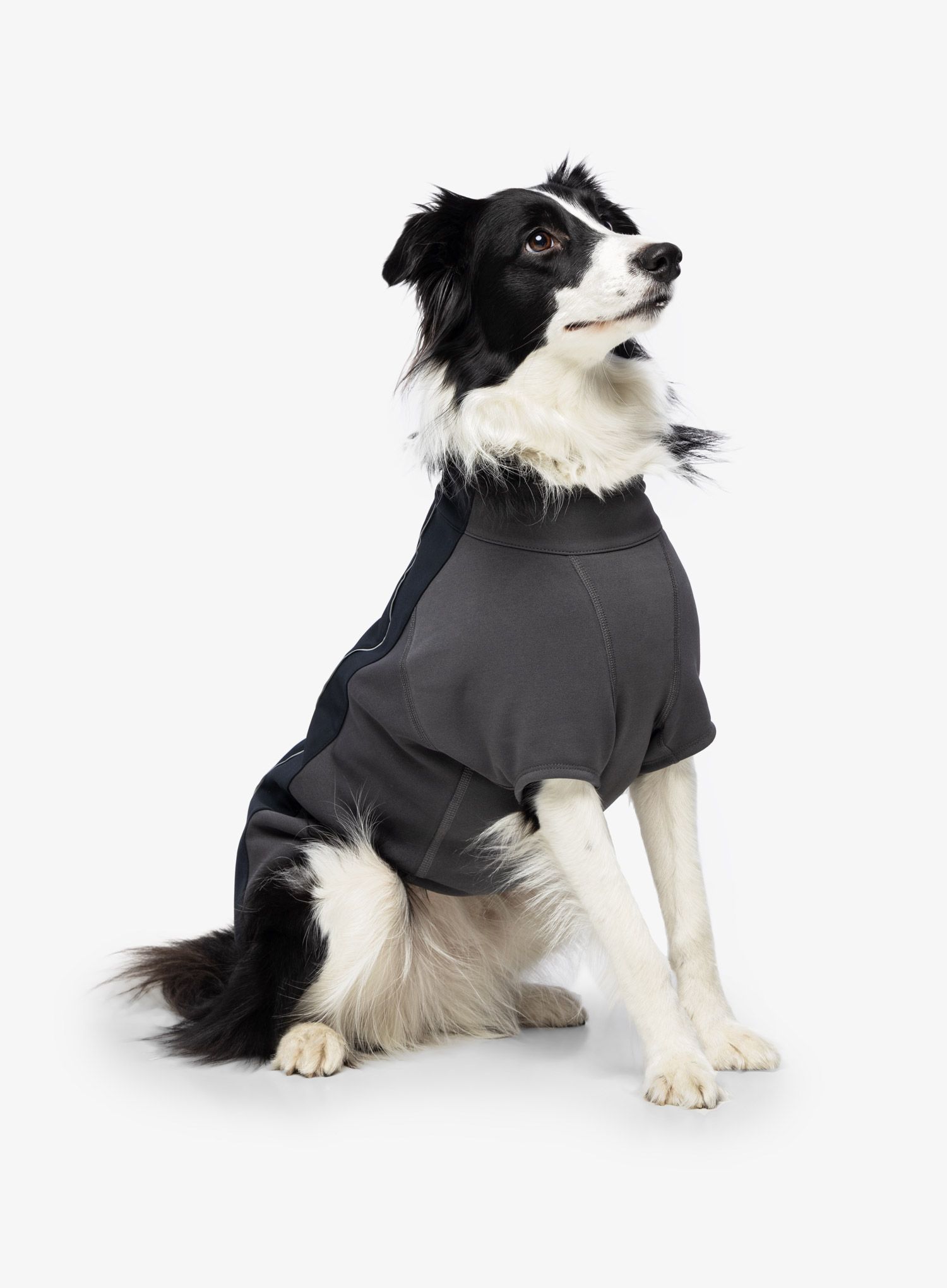 Pláštěnka pro psa Ruffwear Cloud Chaser Dog Jacket - obs black