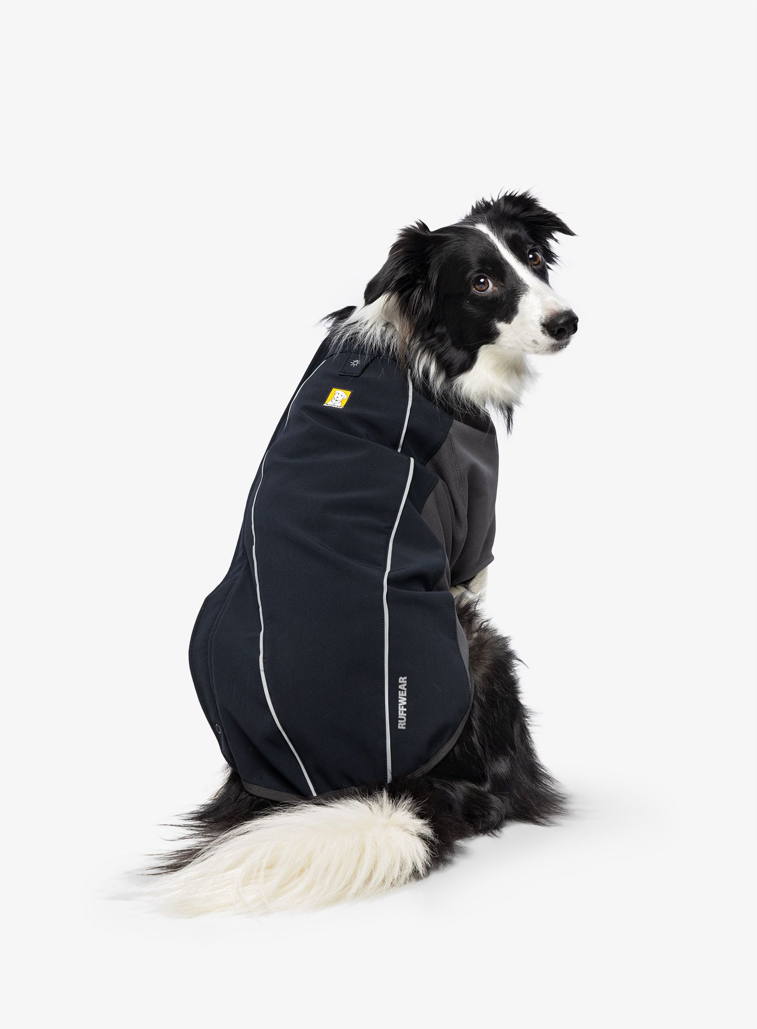 Pláštěnka pro psa Ruffwear Cloud Chaser Dog Jacket - obs black