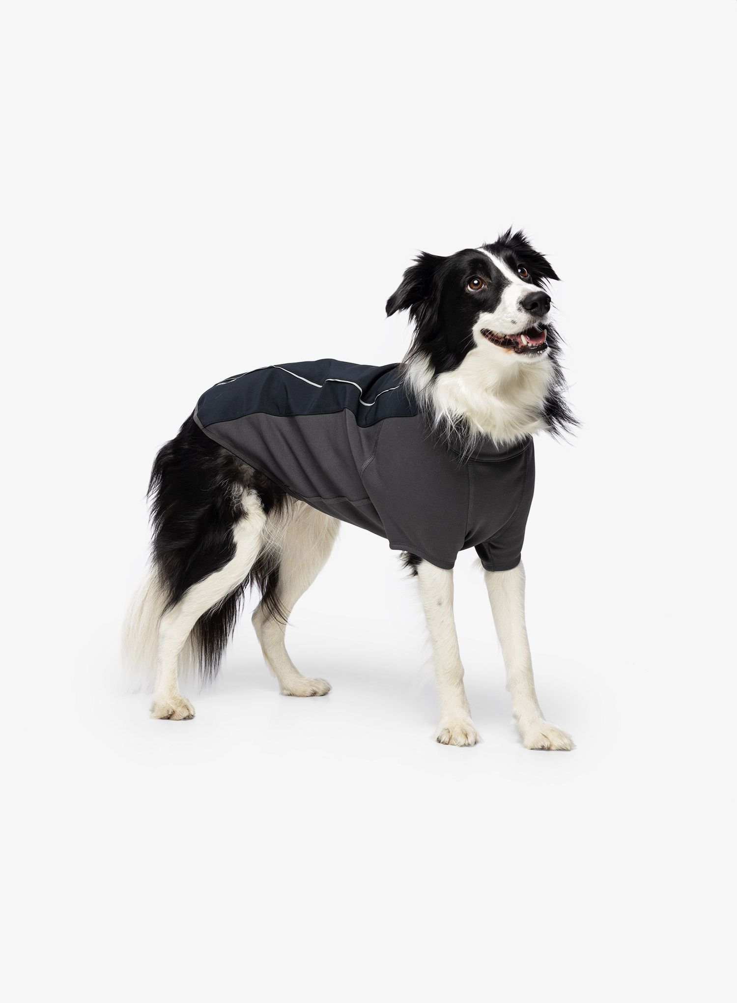 Pláštěnka pro psa Ruffwear Cloud Chaser Dog Jacket - obs black