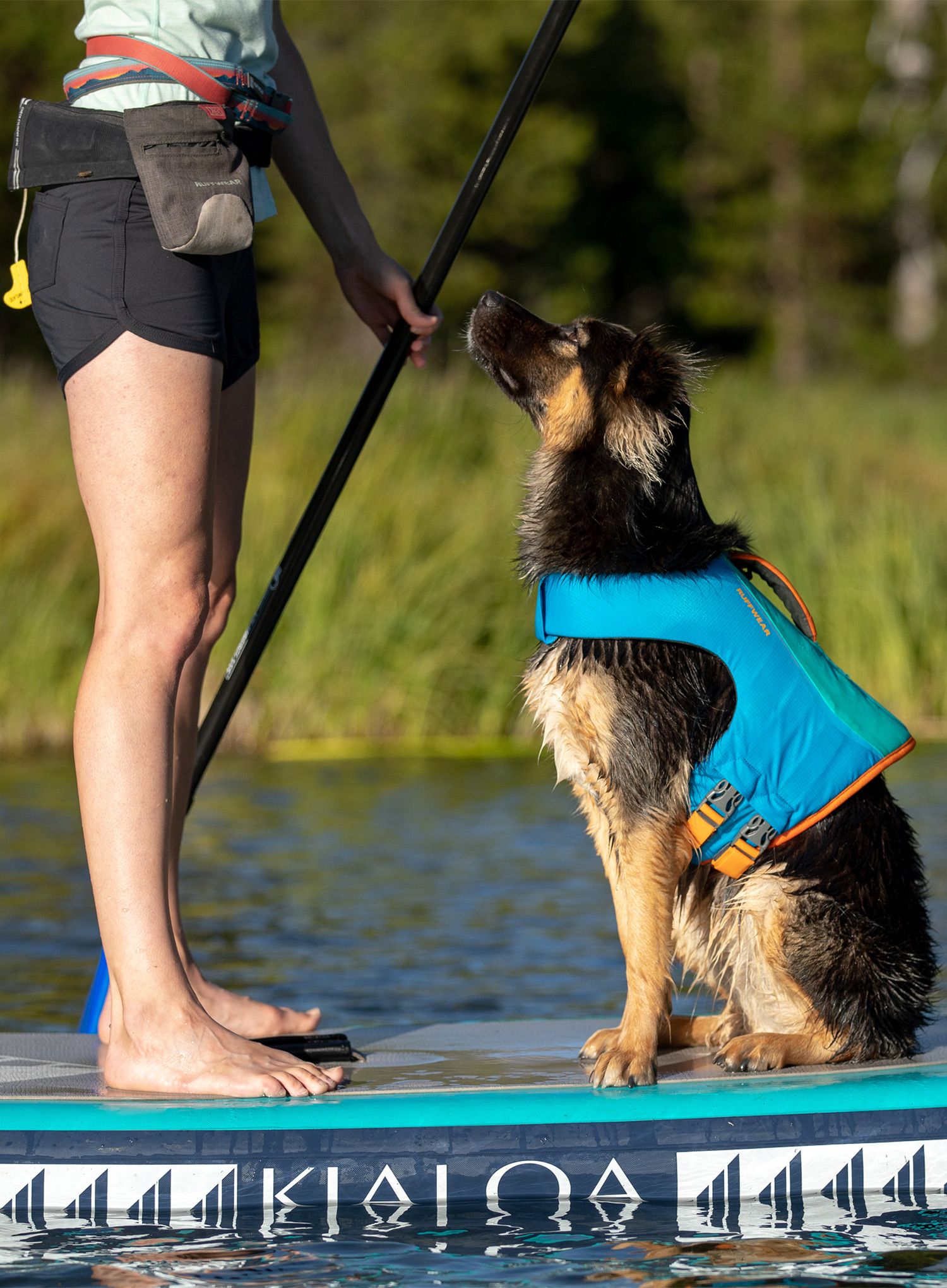 Záchranná vesta pro psa Ruffwear Float Coat Dog Life Jacket - blue dusk