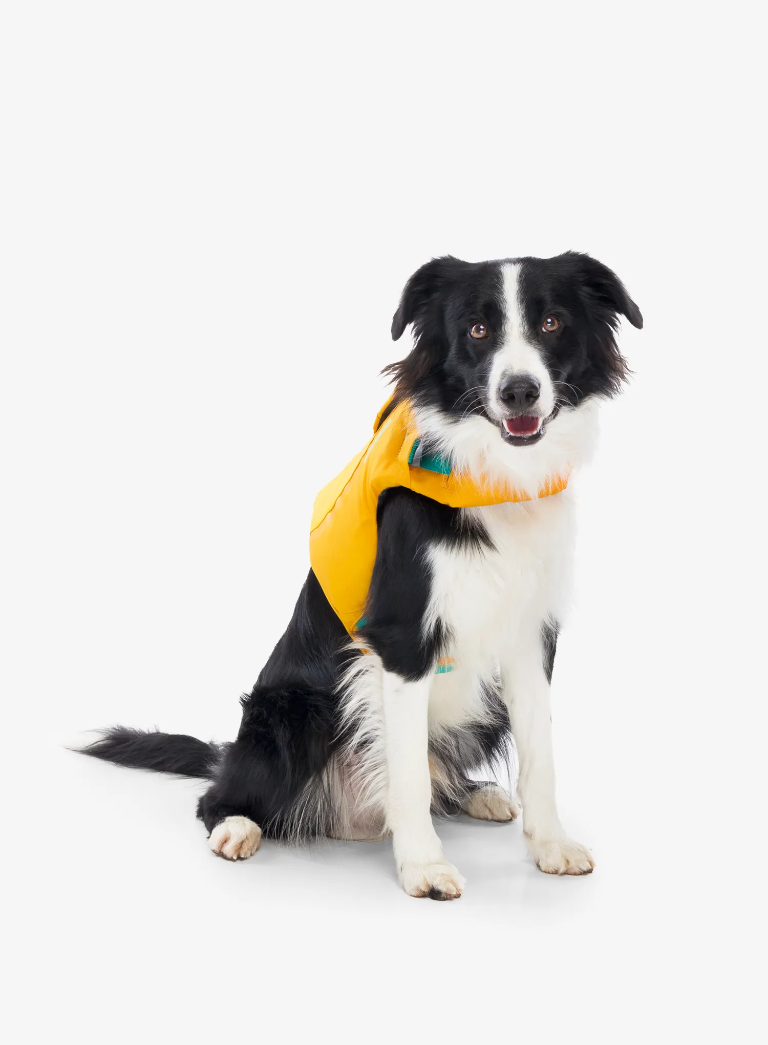 Záchranná vesta pro psa Ruffwear Float Coat Dog Life Jacket - wave orange