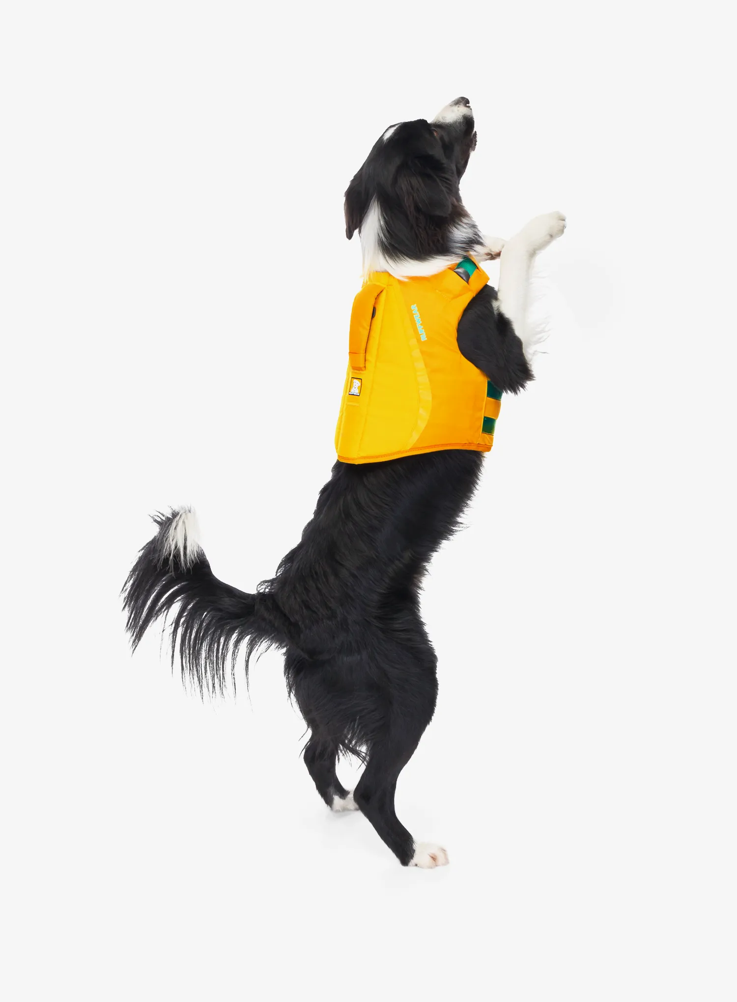 Záchranná vesta pro psa Ruffwear Float Coat Dog Life Jacket - wave orange