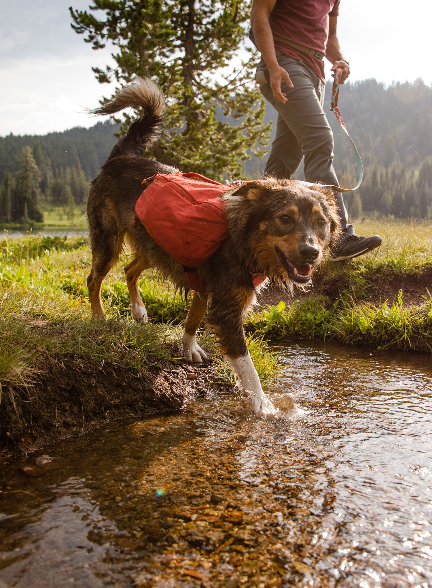 Batoh pro psa Ruffwear Front Range Day Pack - red clay