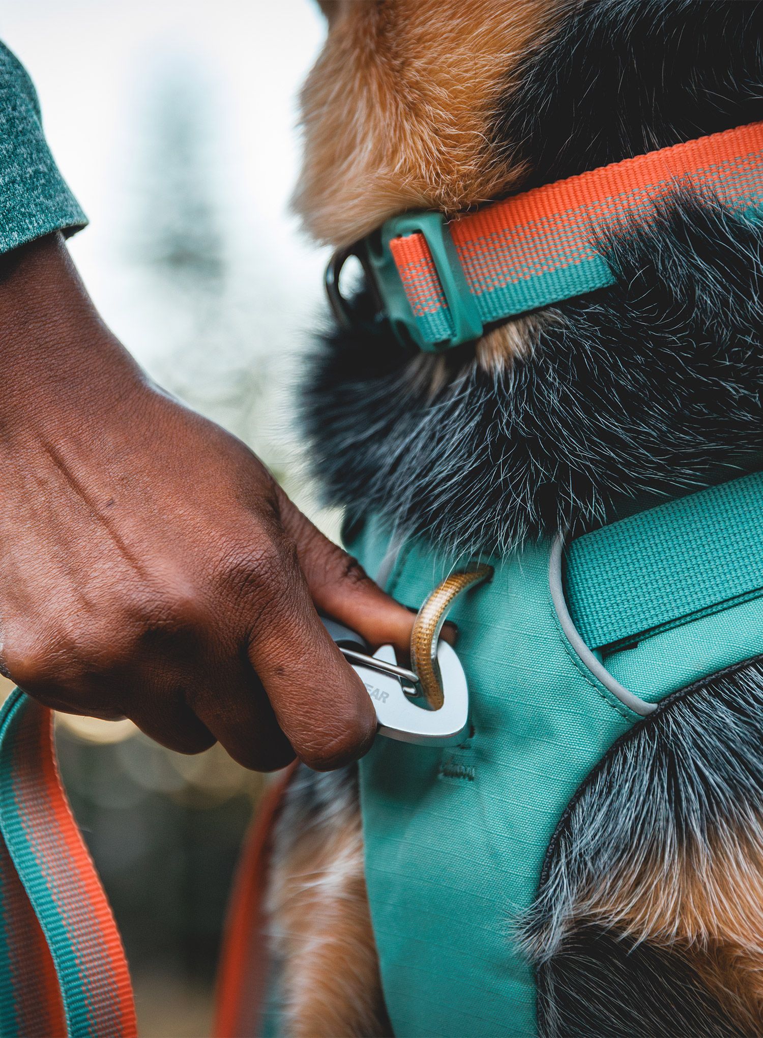 Batoh pro psa Ruffwear Front Range Day Pack - river rock green