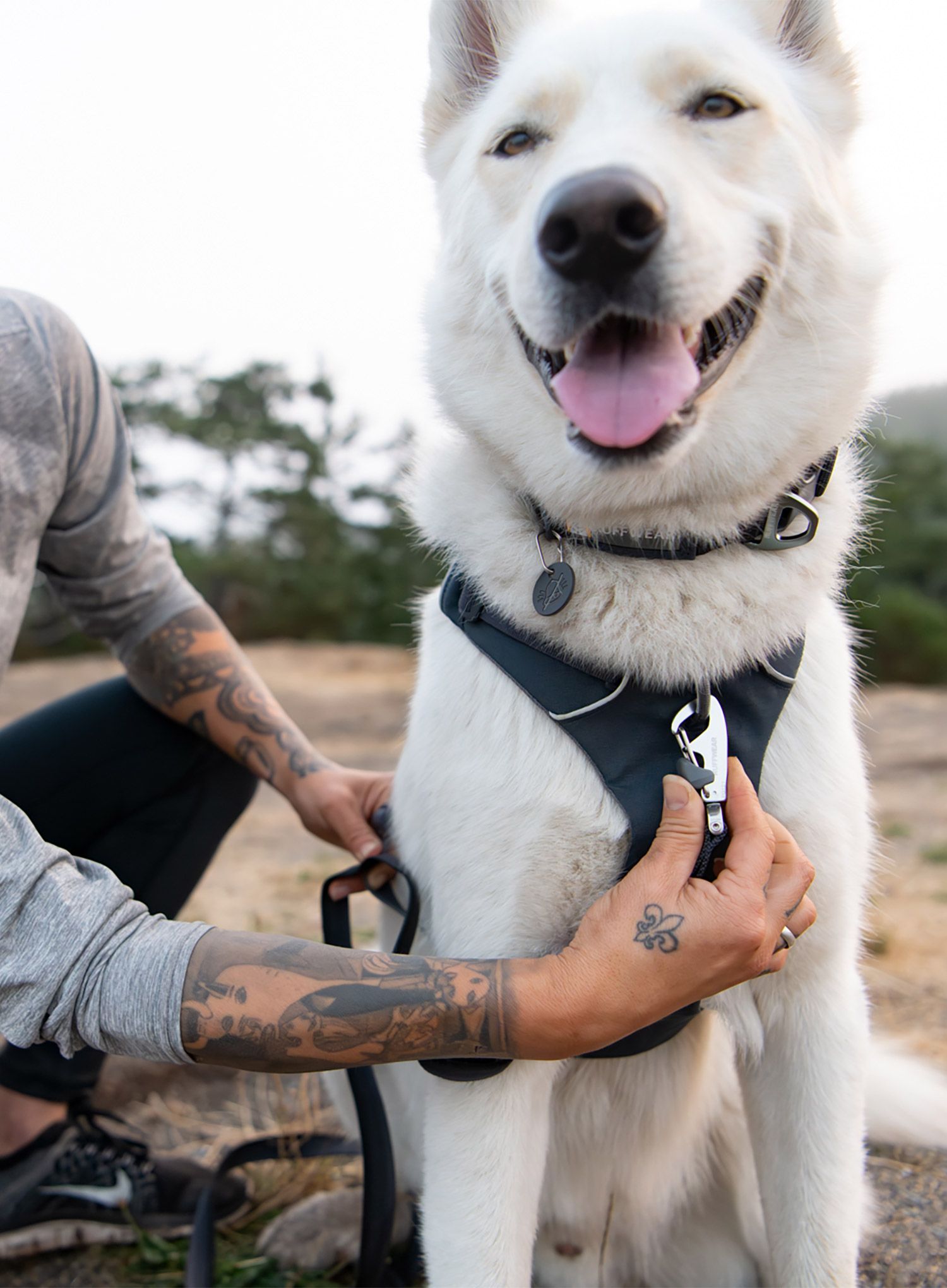 Postroj na psa Ruffwear Front Range Harness L/XL - basalt gray