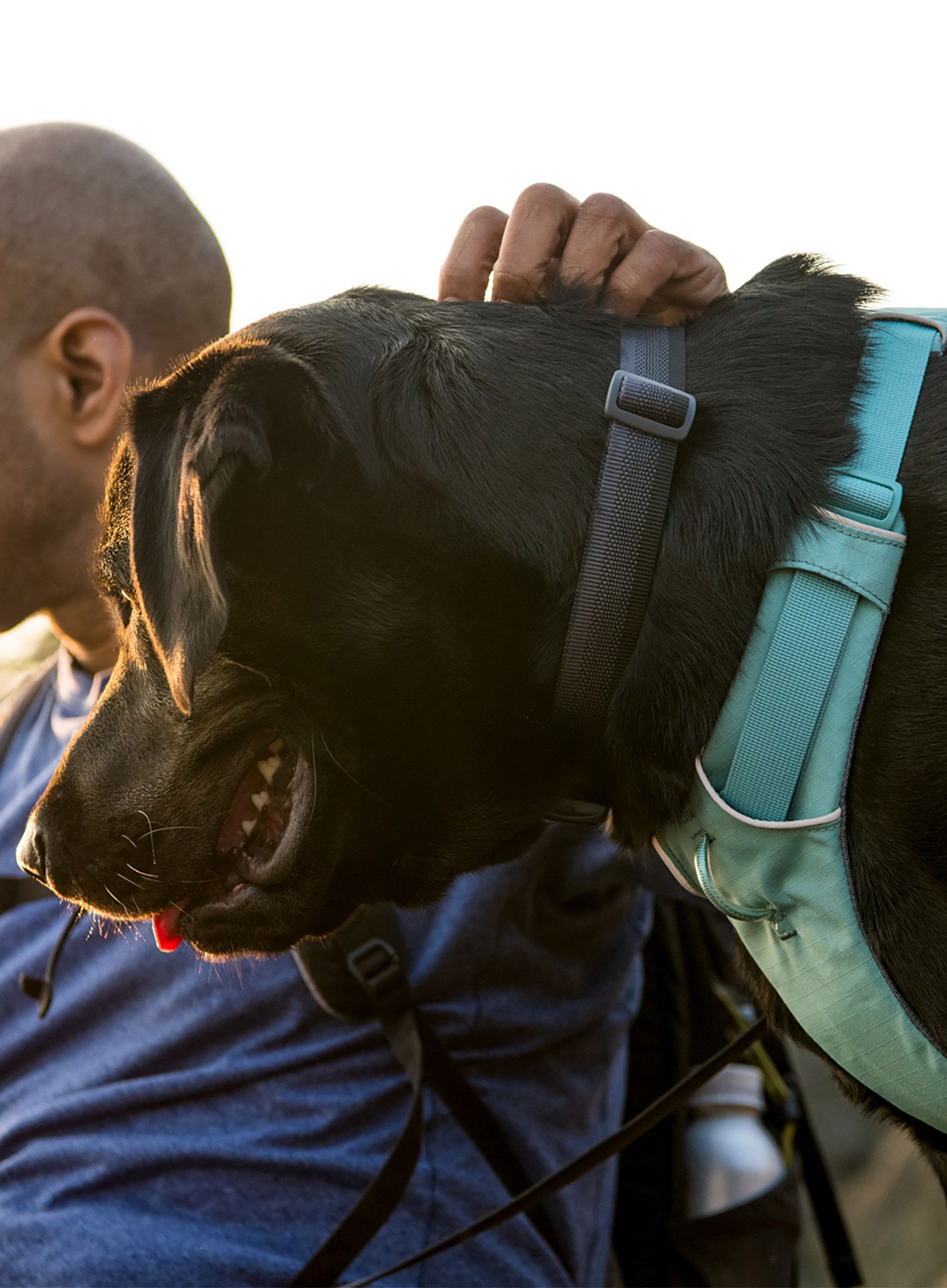 Postroj na psa Ruffwear Front Range Harness M - river rock green