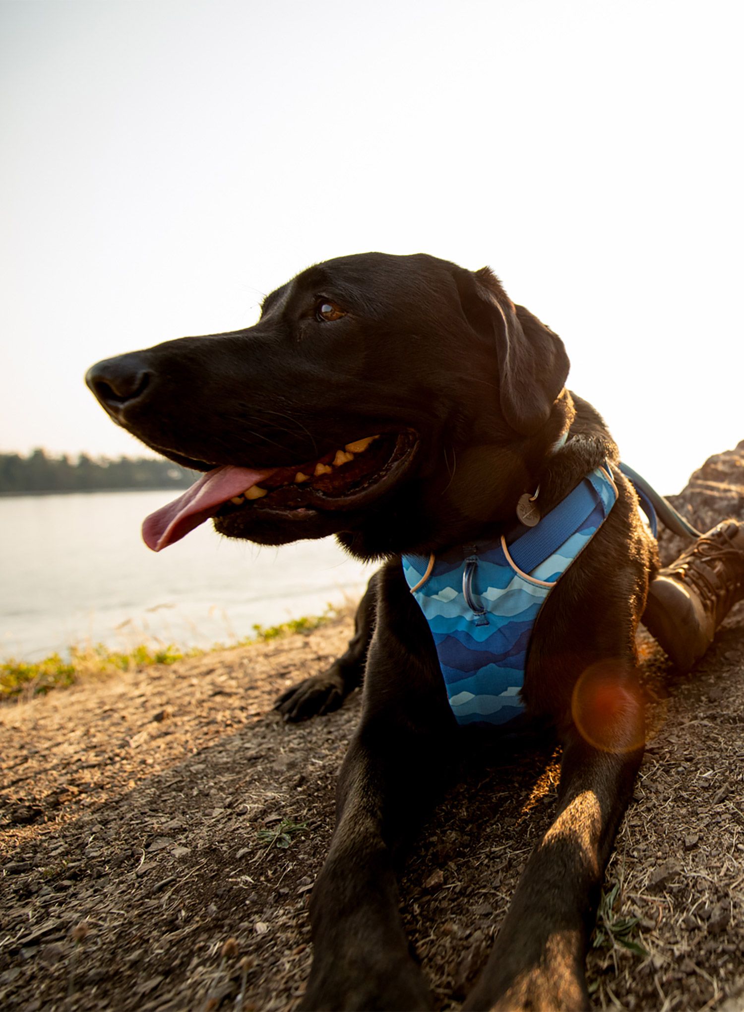 Postroj na psa Ruffwear Front Range Harness S - coastal mountains
