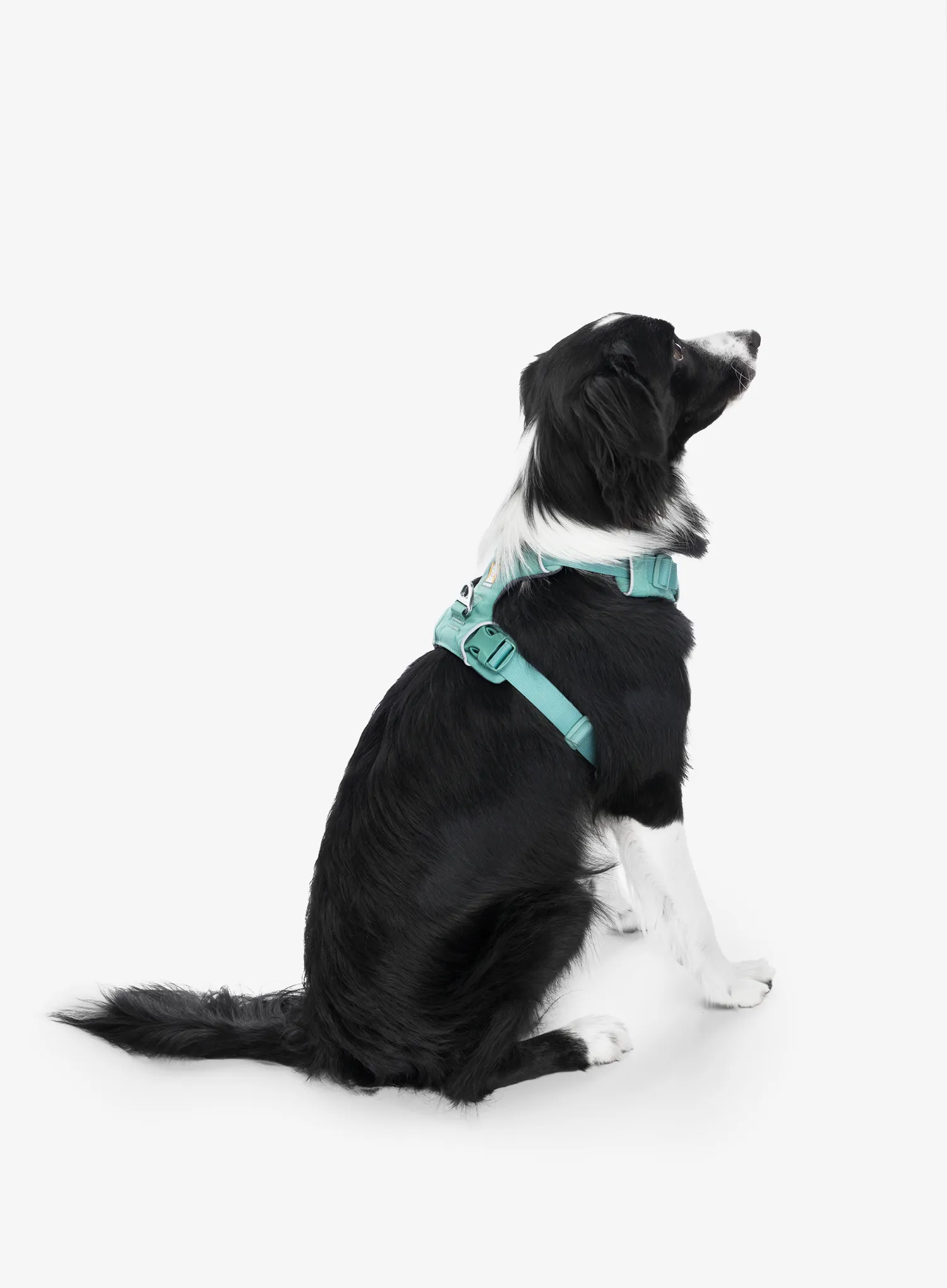 Postroj na psa Ruffwear Front Range Harness S - river rock green
