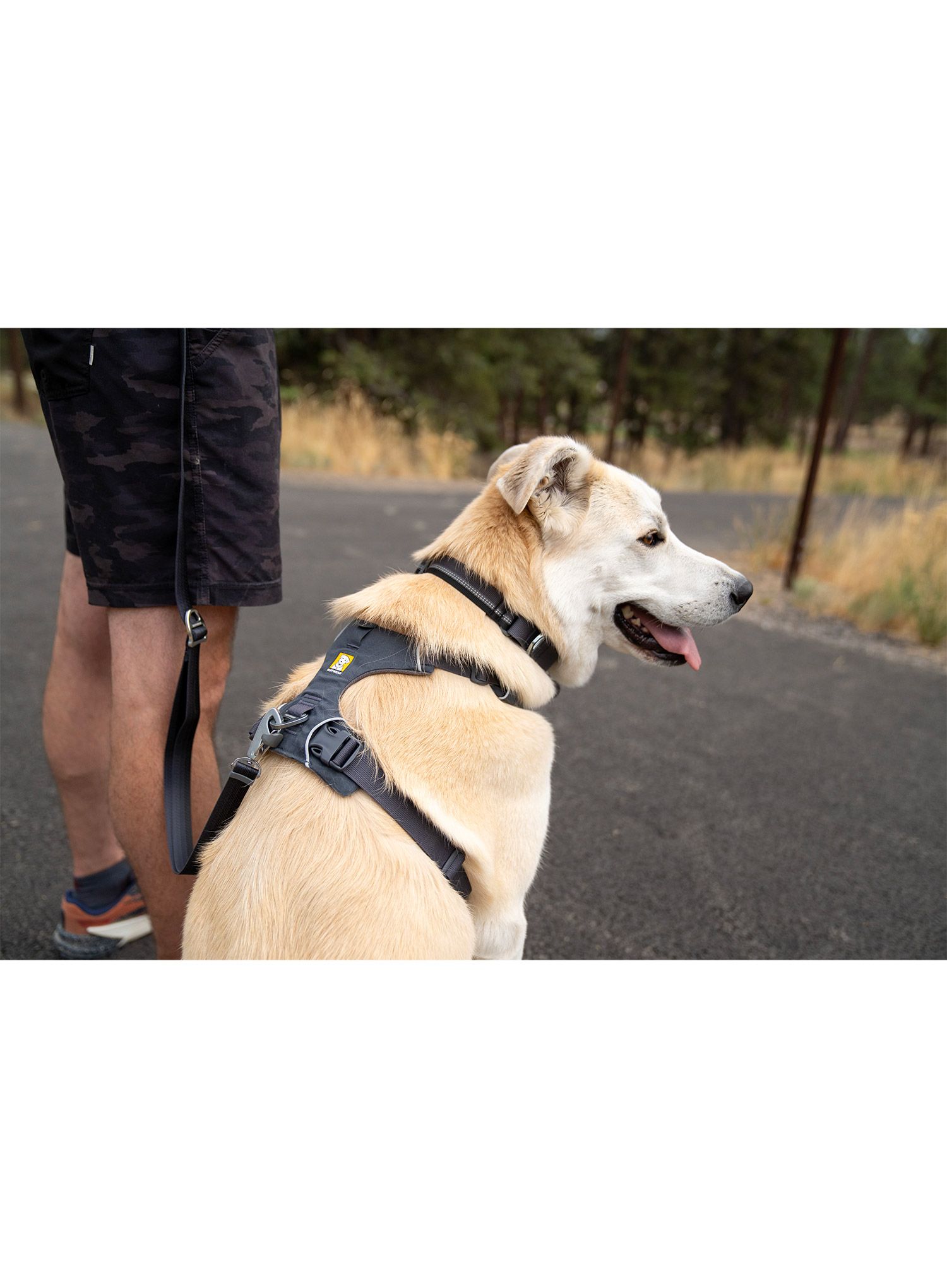 Postroj na psa Ruffwear Front Range Harness XS - basalt gray