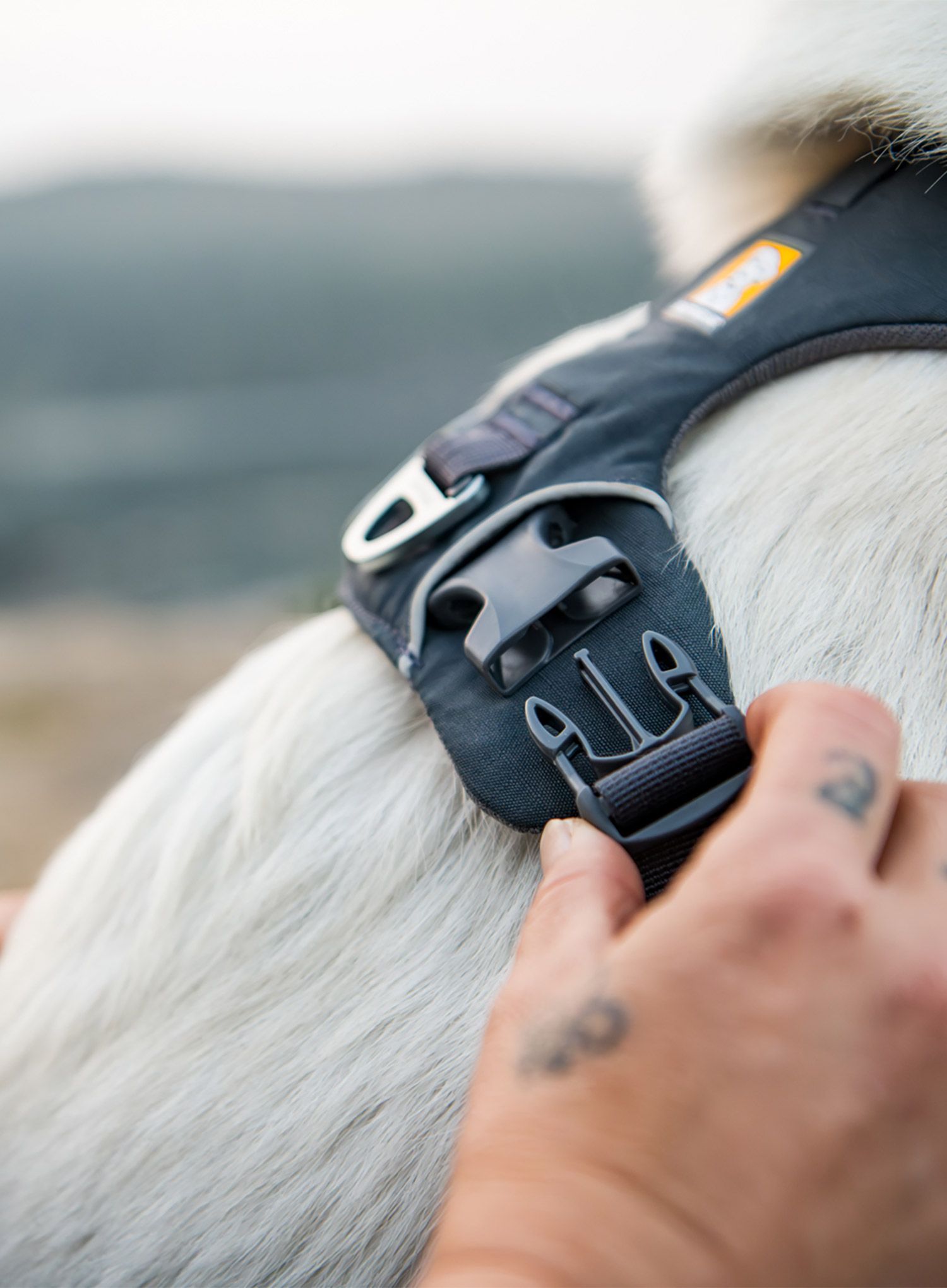 Postroj na psa Ruffwear Front Range Harness XS - basalt gray