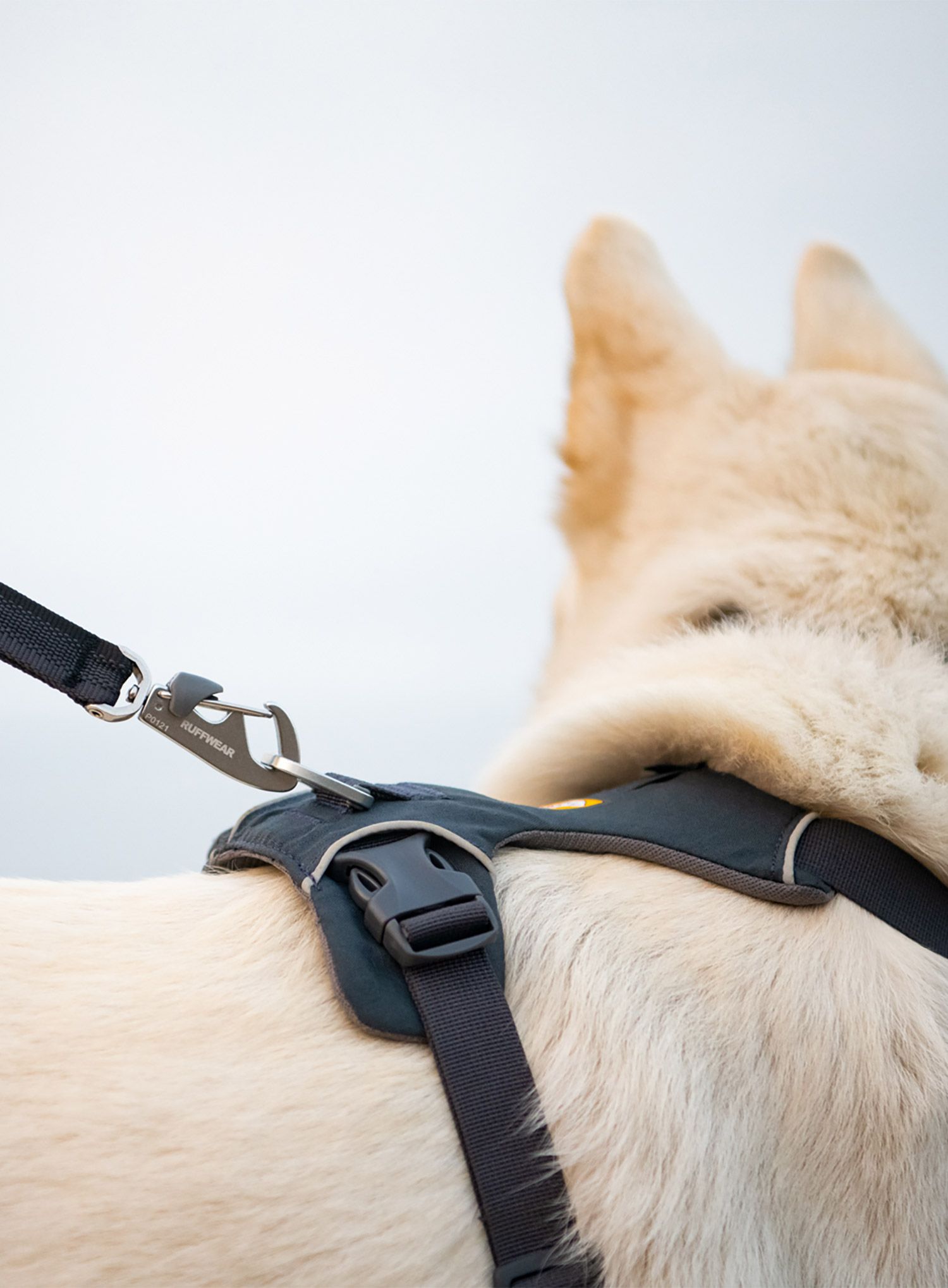 Postroj na psa Ruffwear Front Range Harness XS - basalt gray