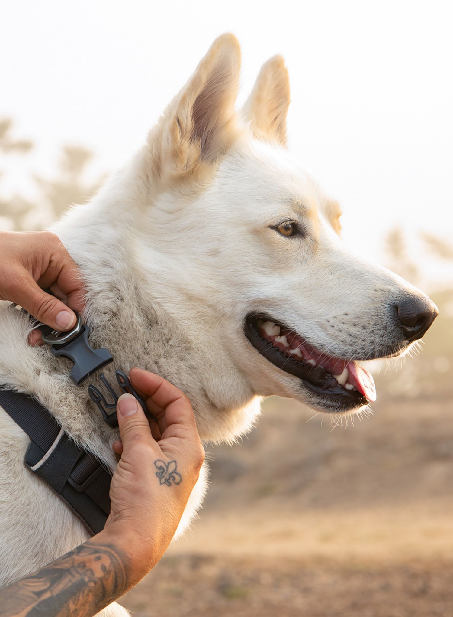 Postroj na psa Ruffwear Front Range Harness XS - basalt gray