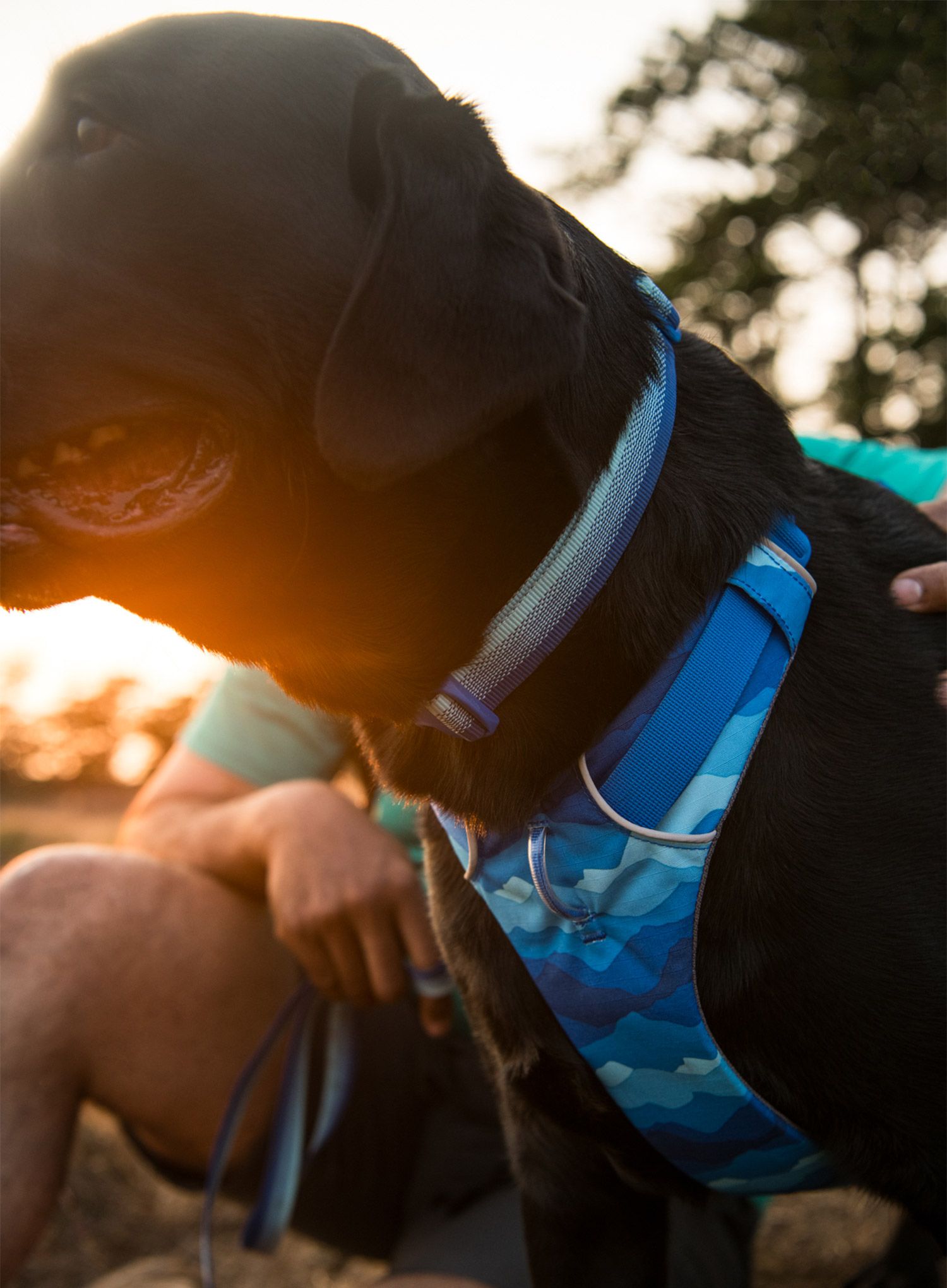 Postroj na psa Ruffwear Front Range Harness XS - coastal mountains