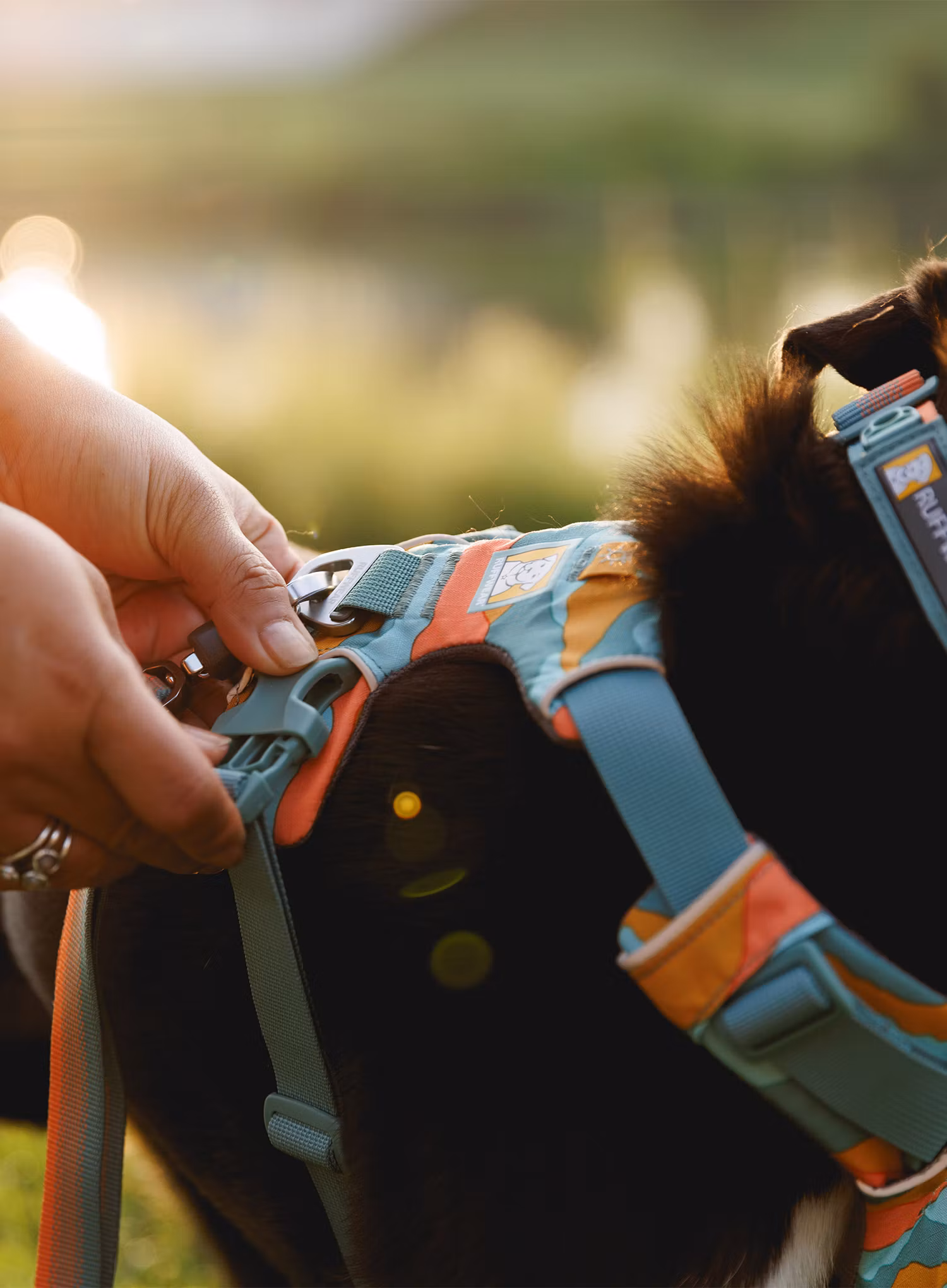 Postroj na psa Ruffwear Front Range Harness XS - spring mountains