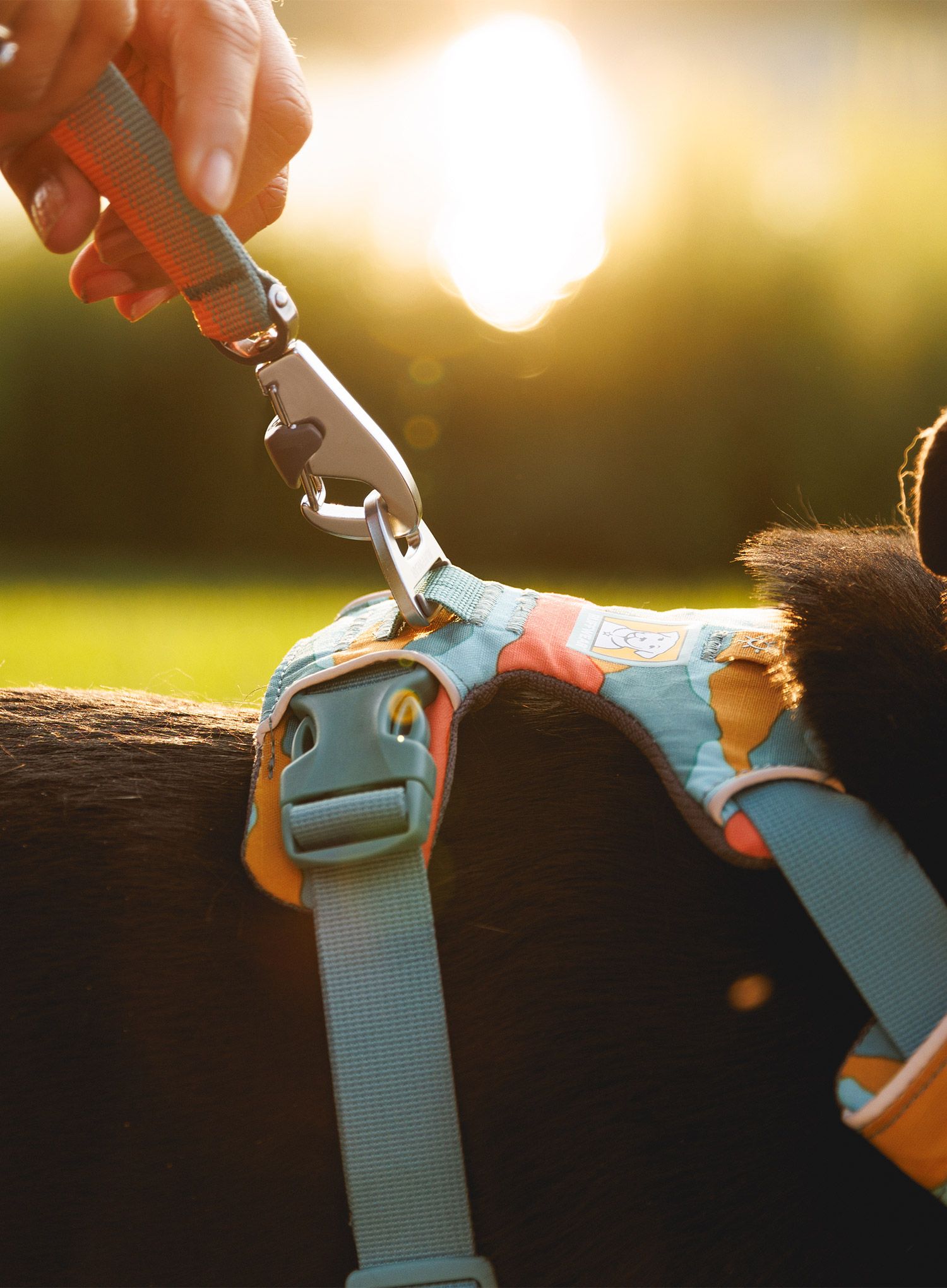 Postroj na psa Ruffwear Front Range Harness XS - spring mountains