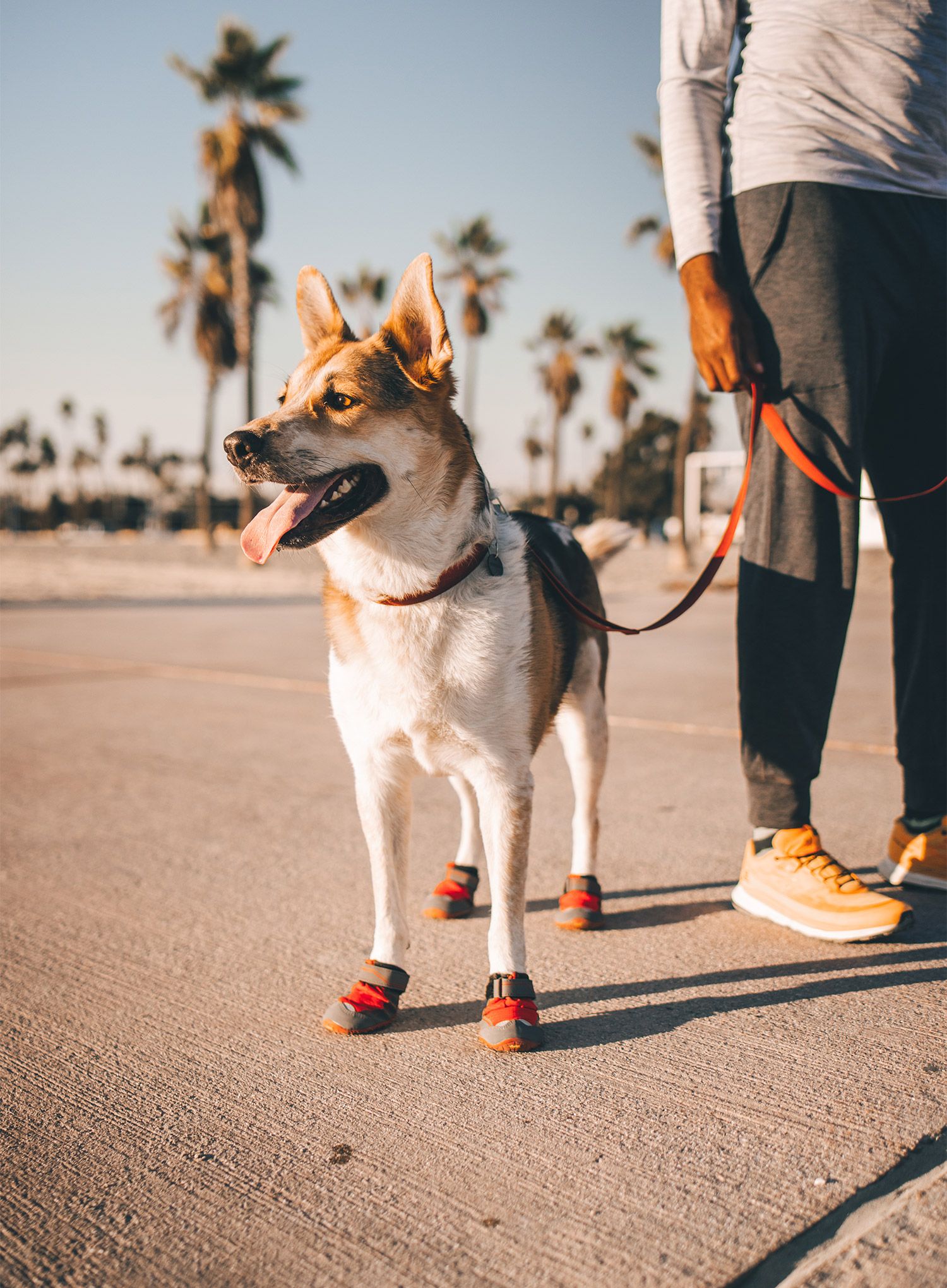 Boty pro psy Ruffwear Grip Trex - red sumac