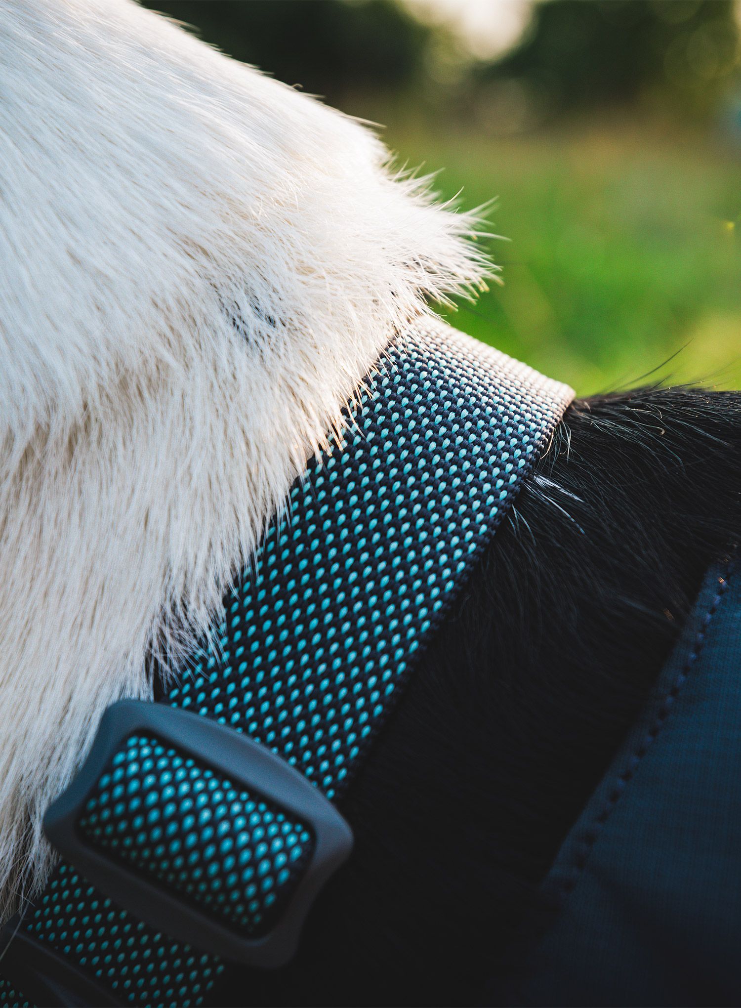 Postroj na psa Ruffwear Hi and Light Harness XS - basalt gray