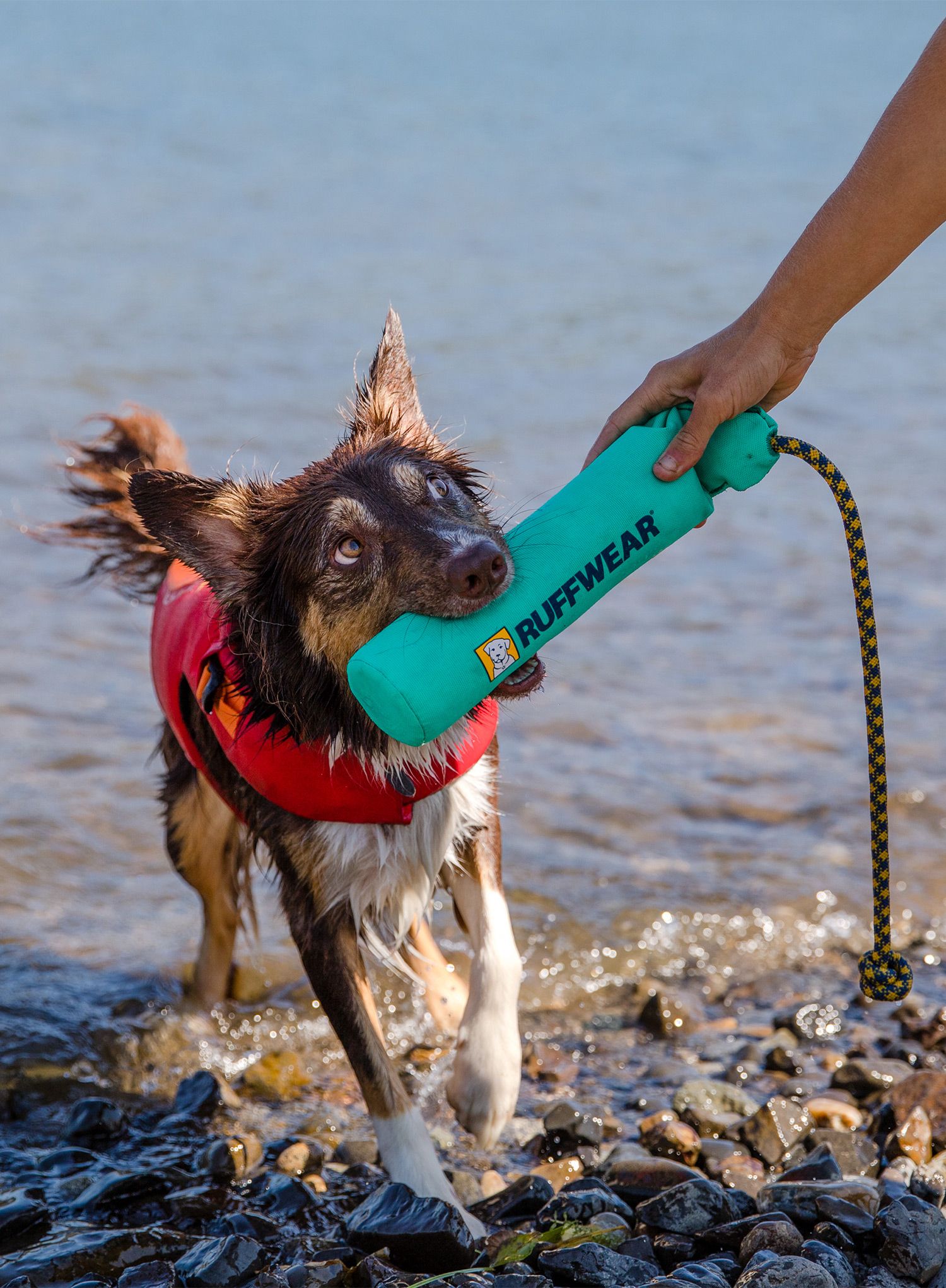 Hračka do vody pro psa Ruffwear Lunker - aurora teal