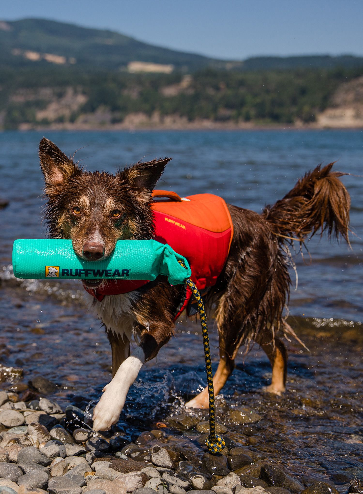 Hračka do vody pro psa Ruffwear Lunker - aurora teal