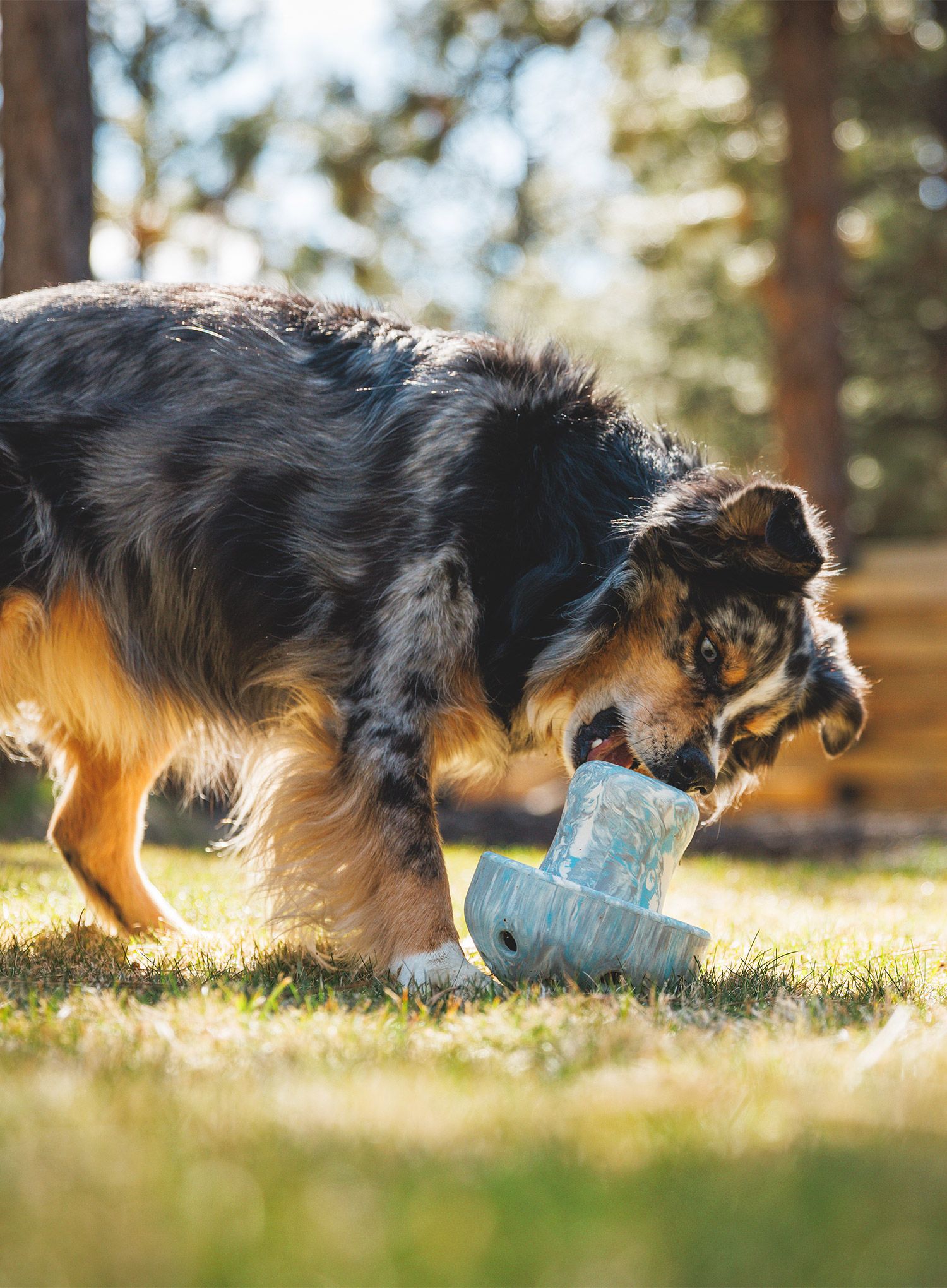 Hračka pro psa Ruffwear Porcini Dog Toy - blue prism