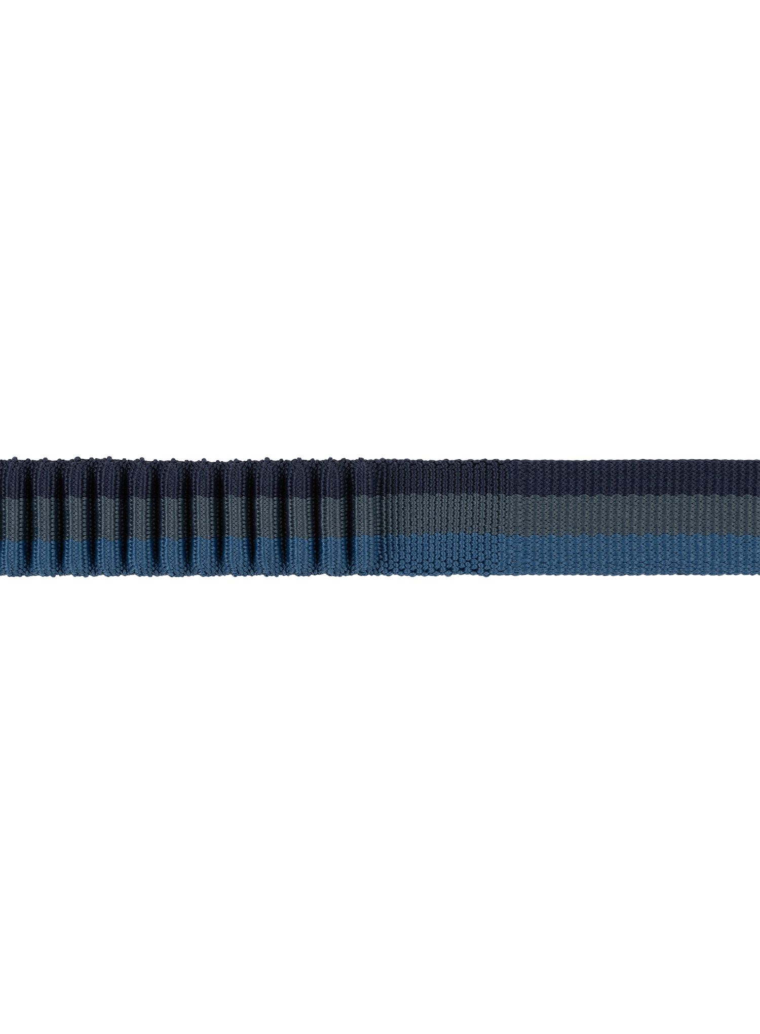 Vodítko pro psa Ruffwear Roamer Bungee Leash - orion blue