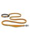 Vodítko pro psa Ruffwear Roamer Bungee Leash - yellow snow
