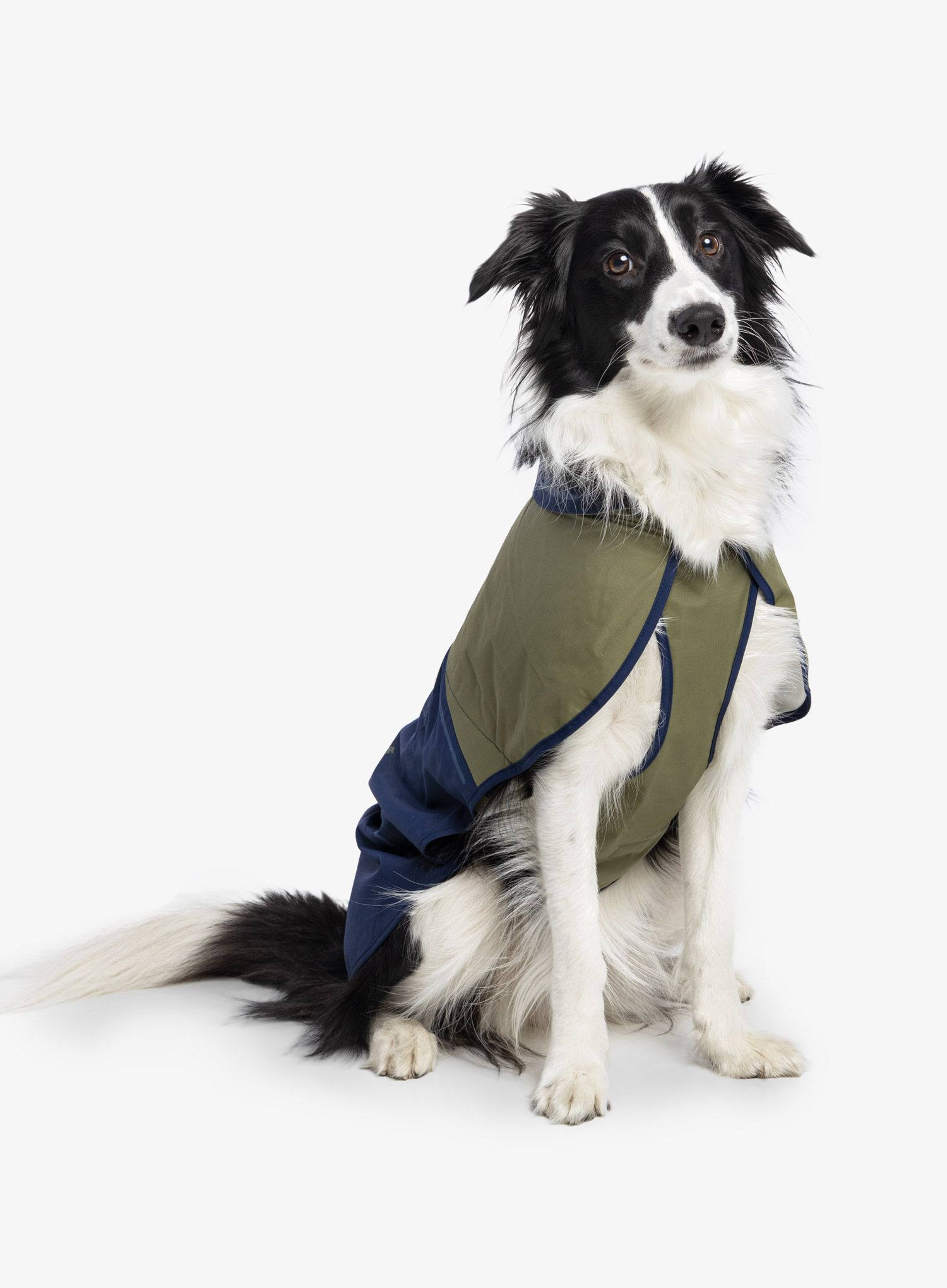Pláštěnka pro psa Ruffwear Sun Shower Dog Raincoat - mnt blue