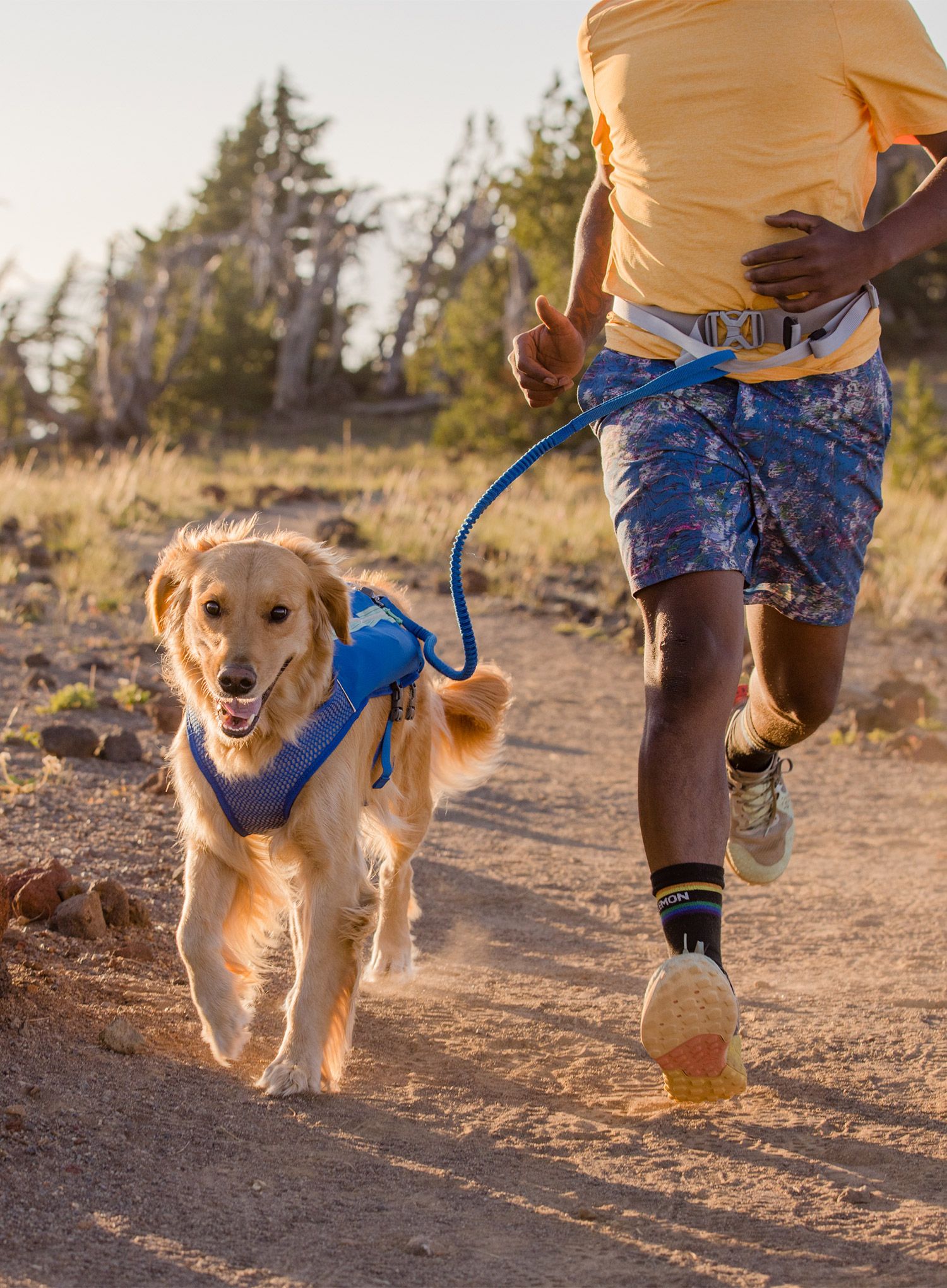 Vesta pro psa Ruffwear Trail Runner Running Vest - blue pool