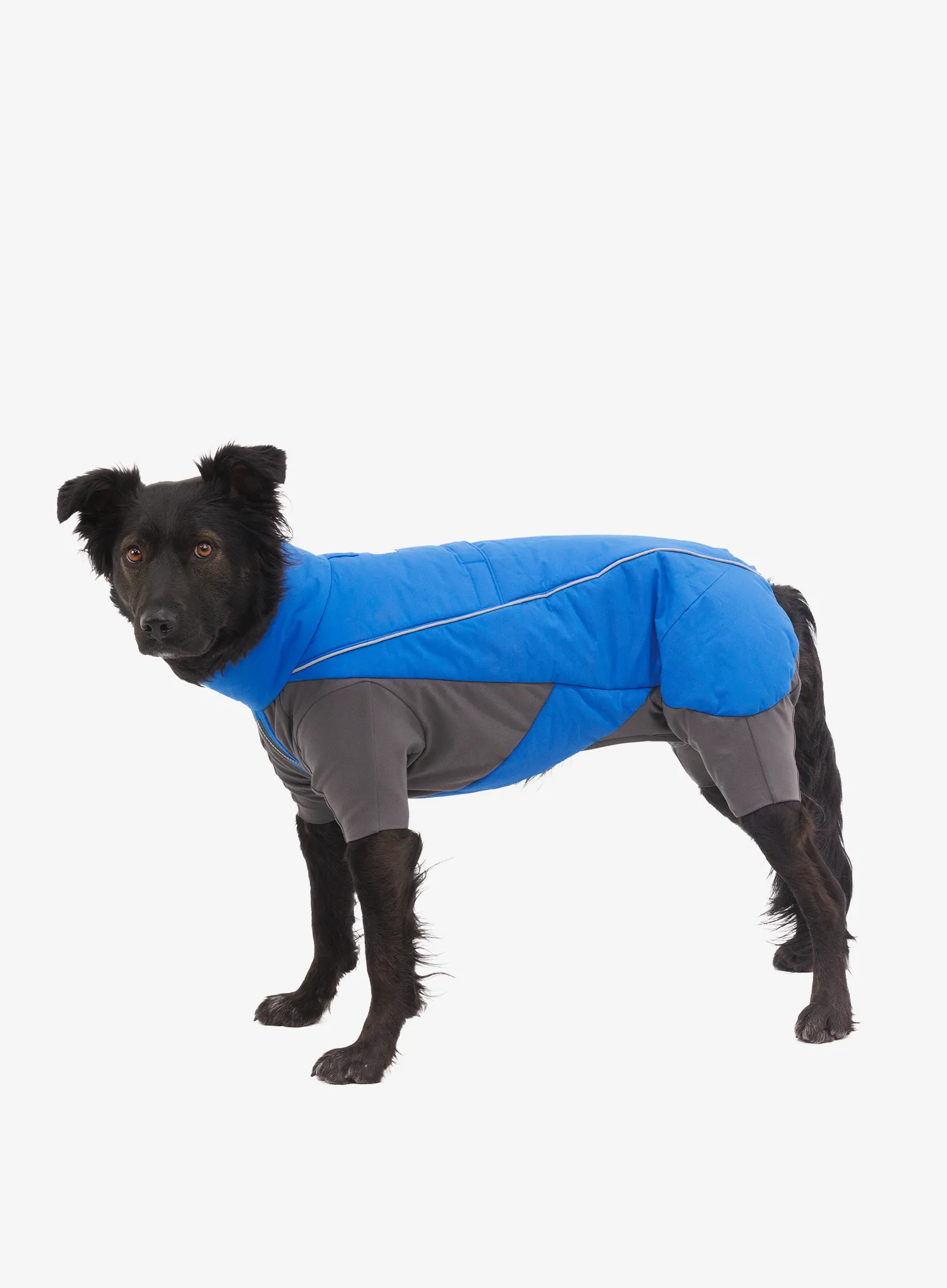 Psí oblek Ruffwear Vert Coverall - blue pool
