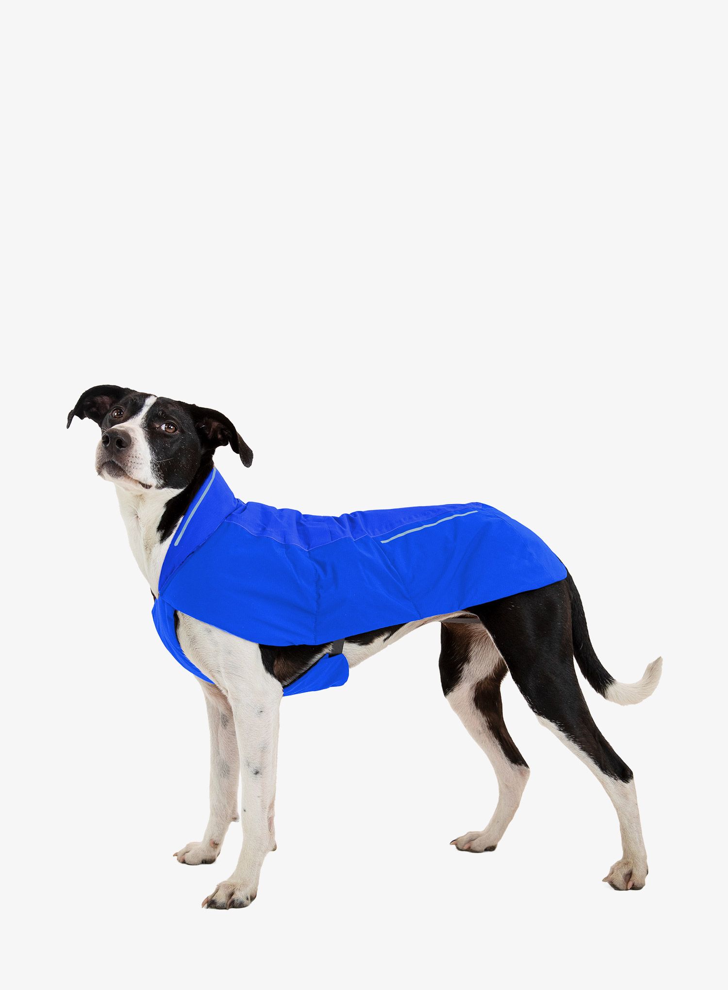 Bunda pro psa Ruffwear Vert Dog Jacket - blue pool