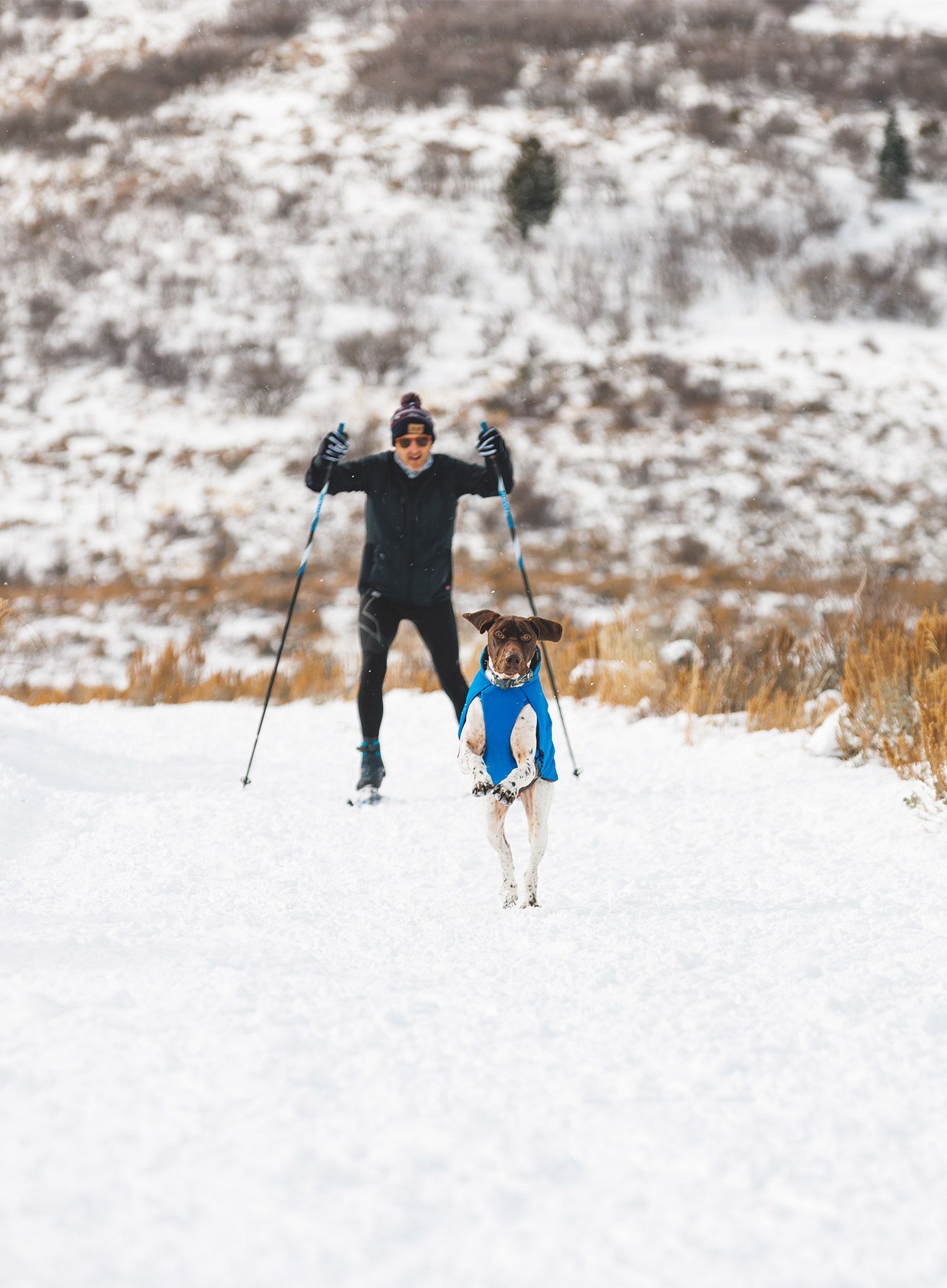 Bunda pro psa Ruffwear Vert Dog Jacket - blue pool