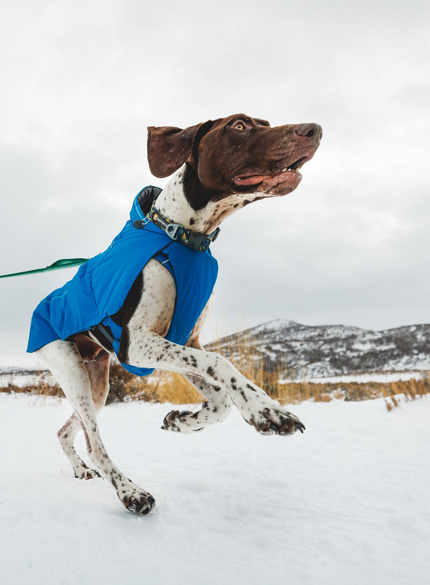 Bunda pro psa Ruffwear Vert Dog Jacket - blue pool