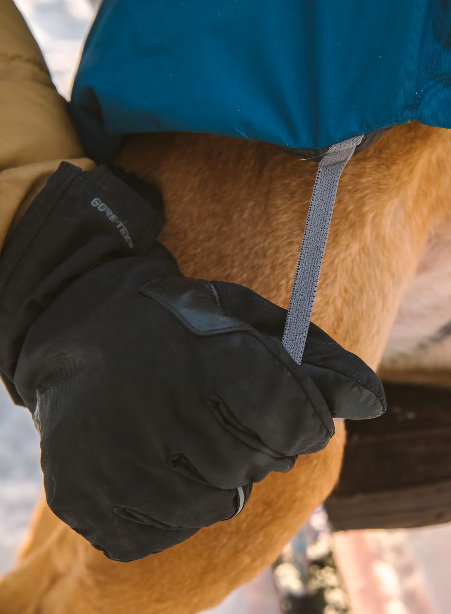 Zateplená bunda pro psa Ruffwear Vert Dog Jacket - aurora teal