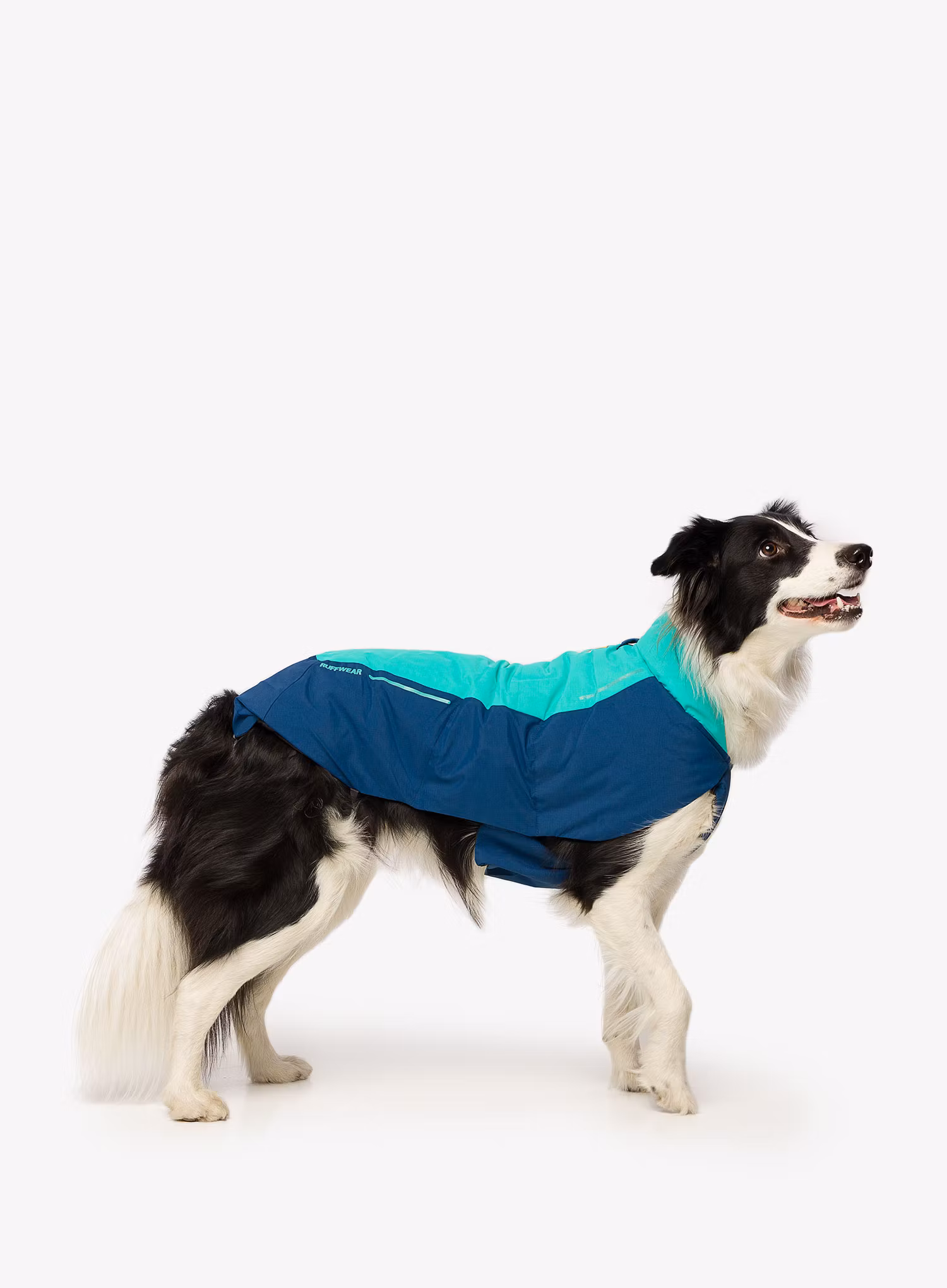 Zateplená bunda pro psa Ruffwear Vert Dog Jacket - aurora teal