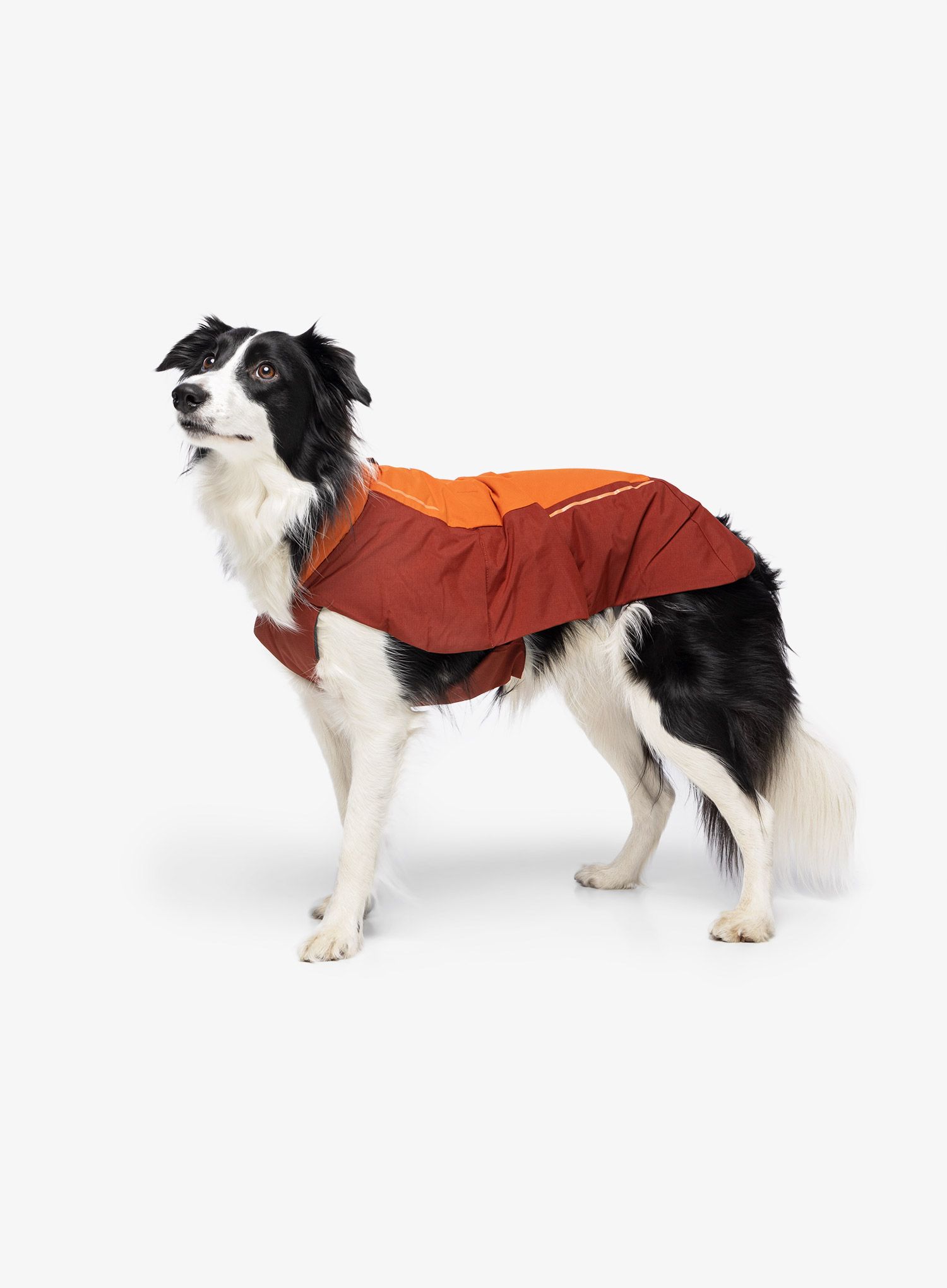 Pláštěnka pro psa Ruffwear Vert Dog Jacket - cnlds orange