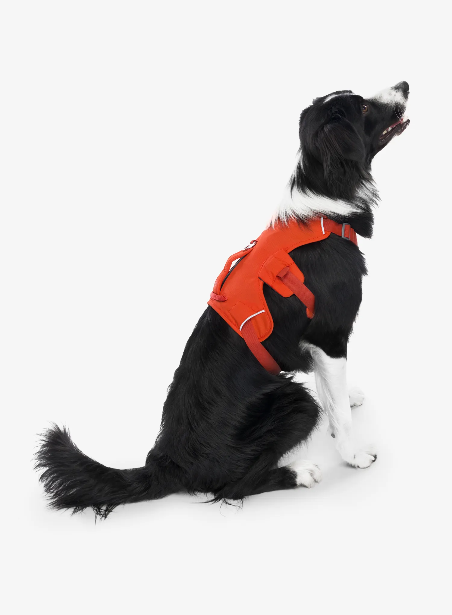 Postroj na psa Ruffwear Web Master Harness - red sumac
