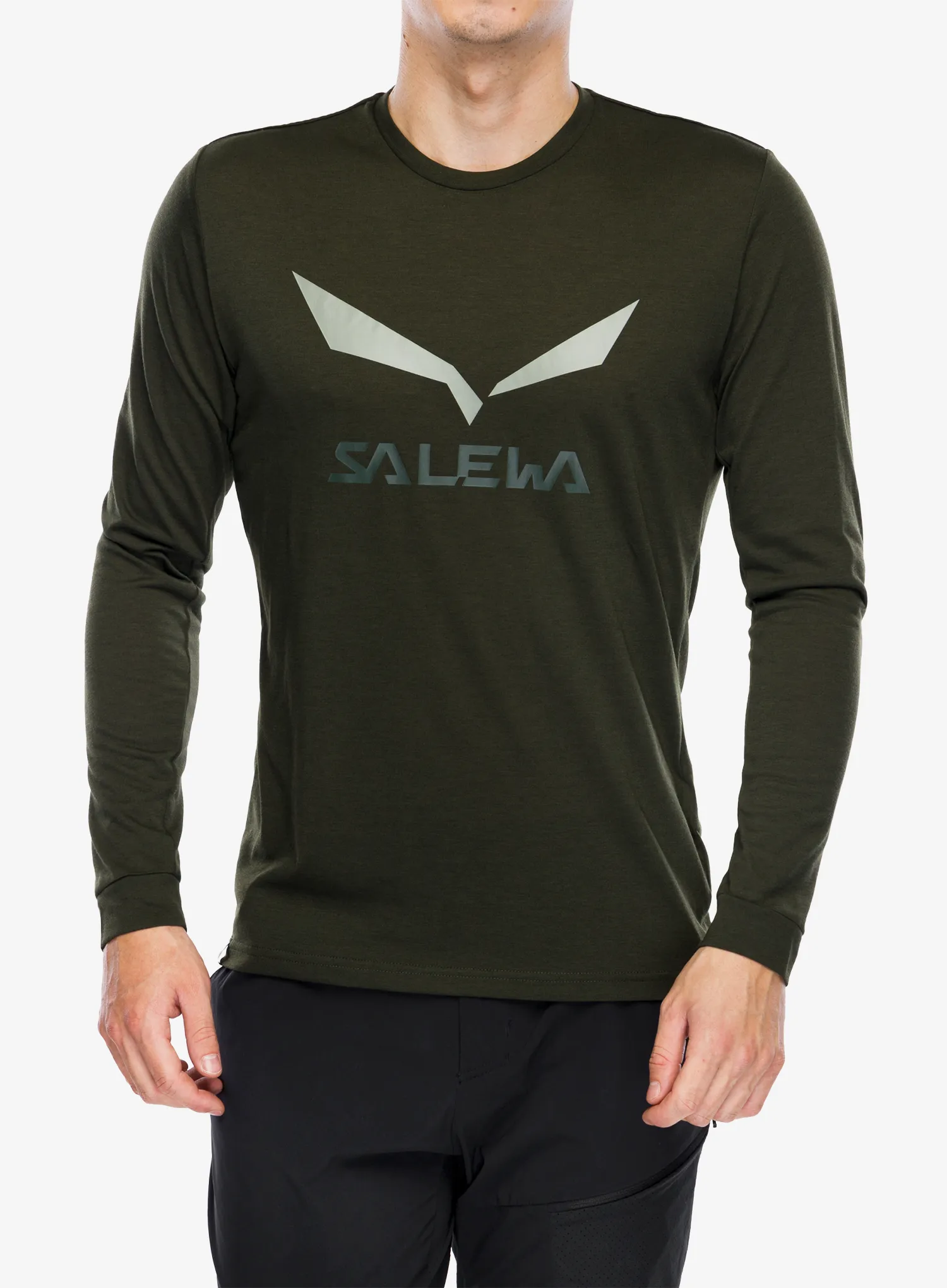 Mikina bez kapuce Salewa Solidlogo Dry L/S Te - dark olive