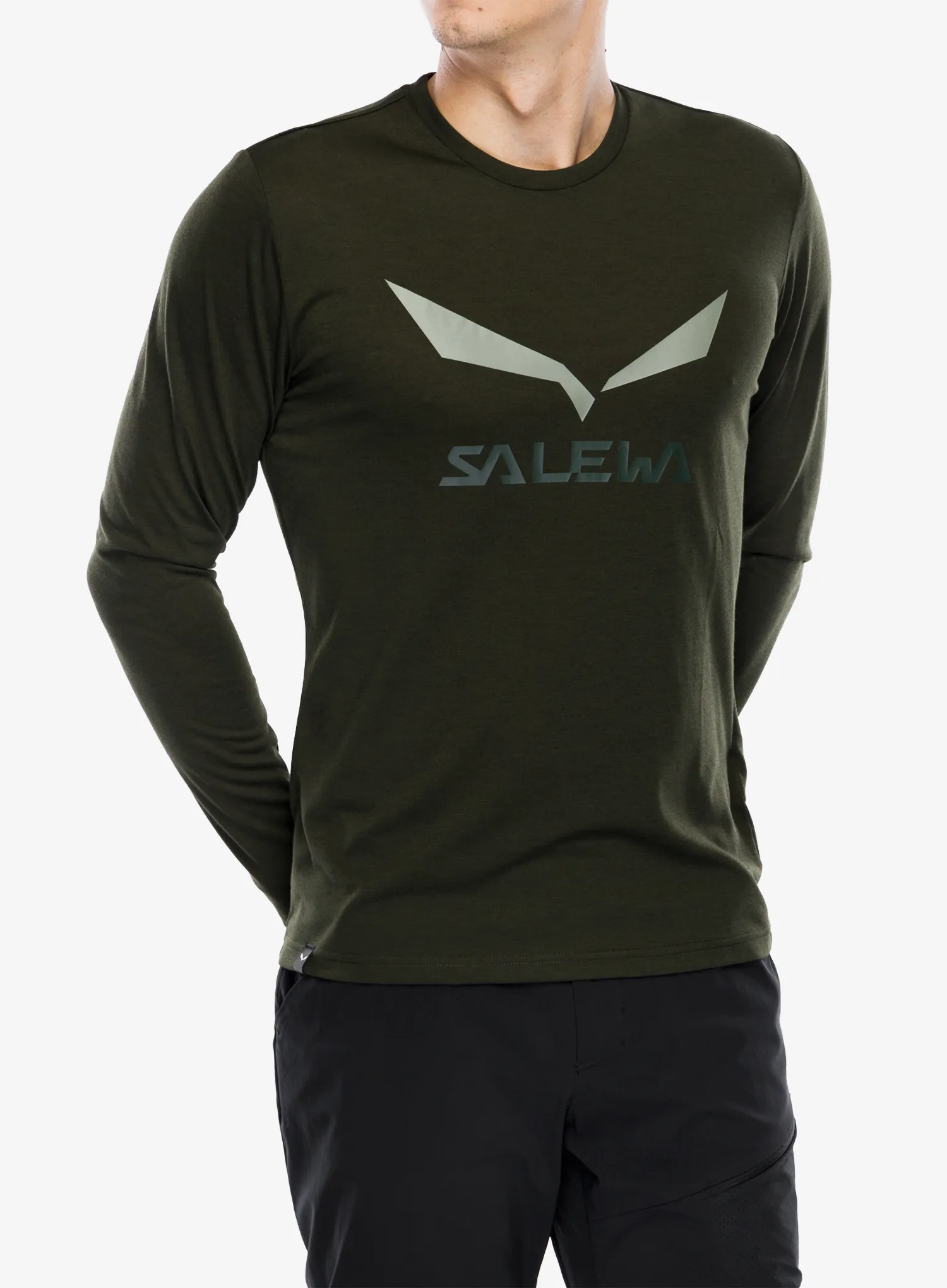Mikina bez kapuce Salewa Solidlogo Dry L/S Te - dark olive