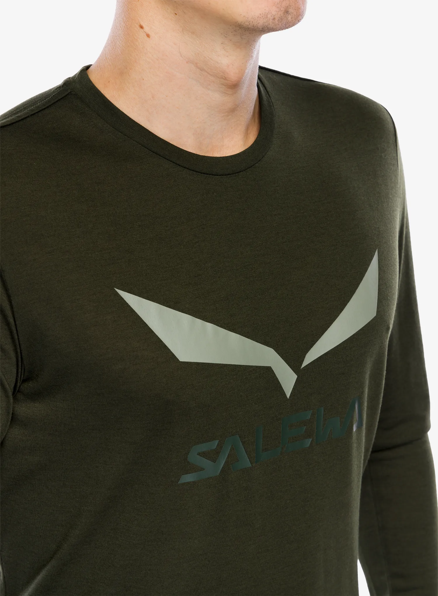Mikina bez kapuce Salewa Solidlogo Dry L/S Te - dark olive