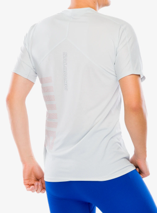 Běžecké tričko Salomon Sense Aero S/S GFX - gray