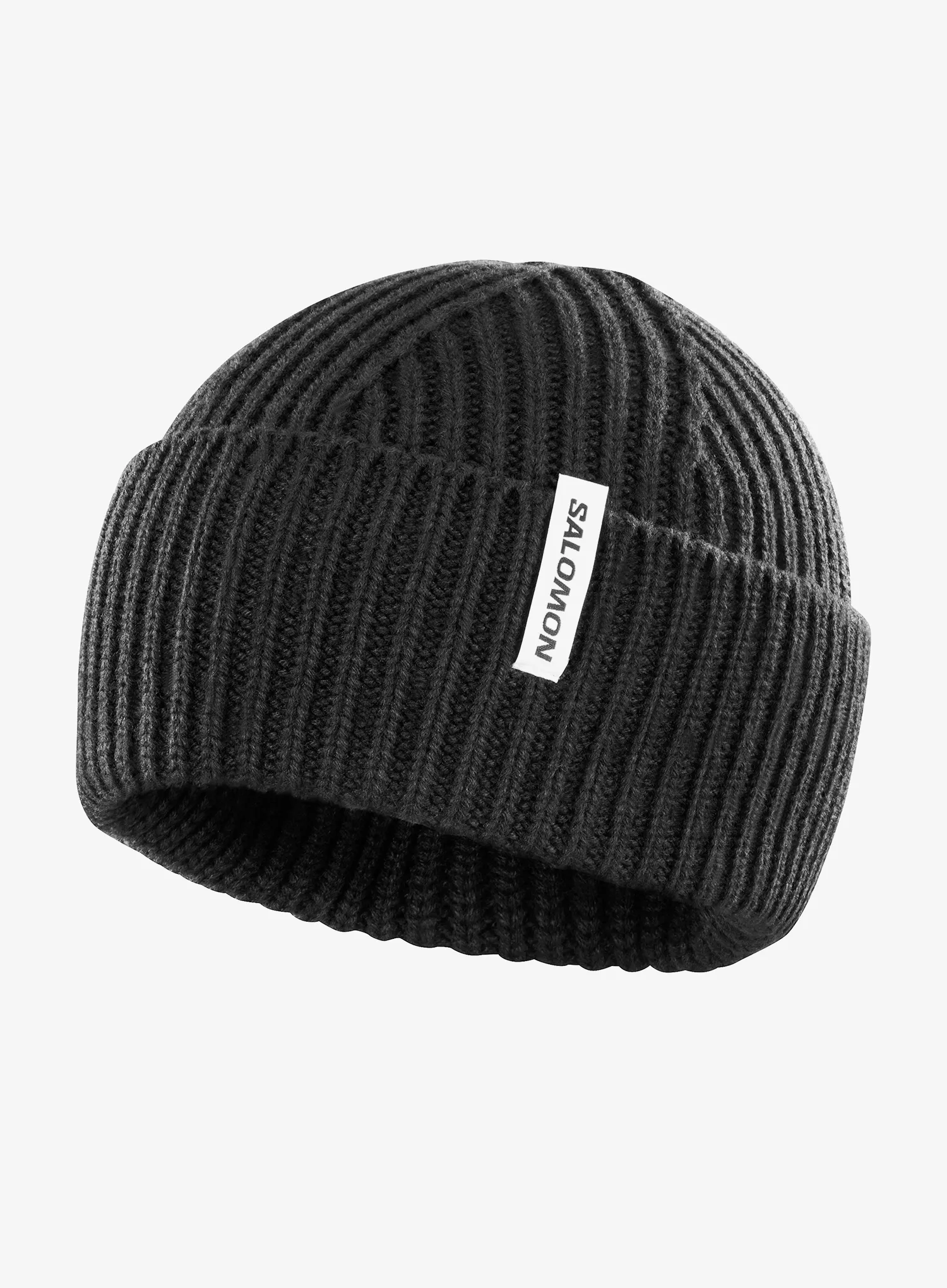Zimní čepice Salomon Snowbird Beanie U - deep black
