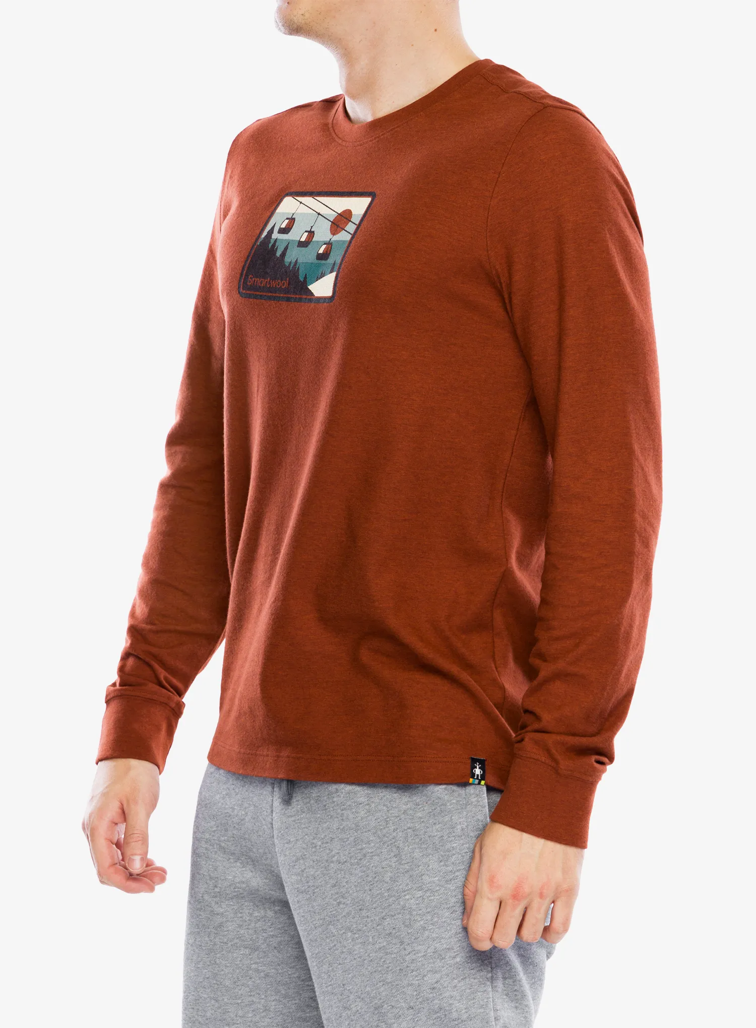 Mikina bez kapuce Smartwool Gondola Ride Graphic Long Sleeve Tee - pecan brown