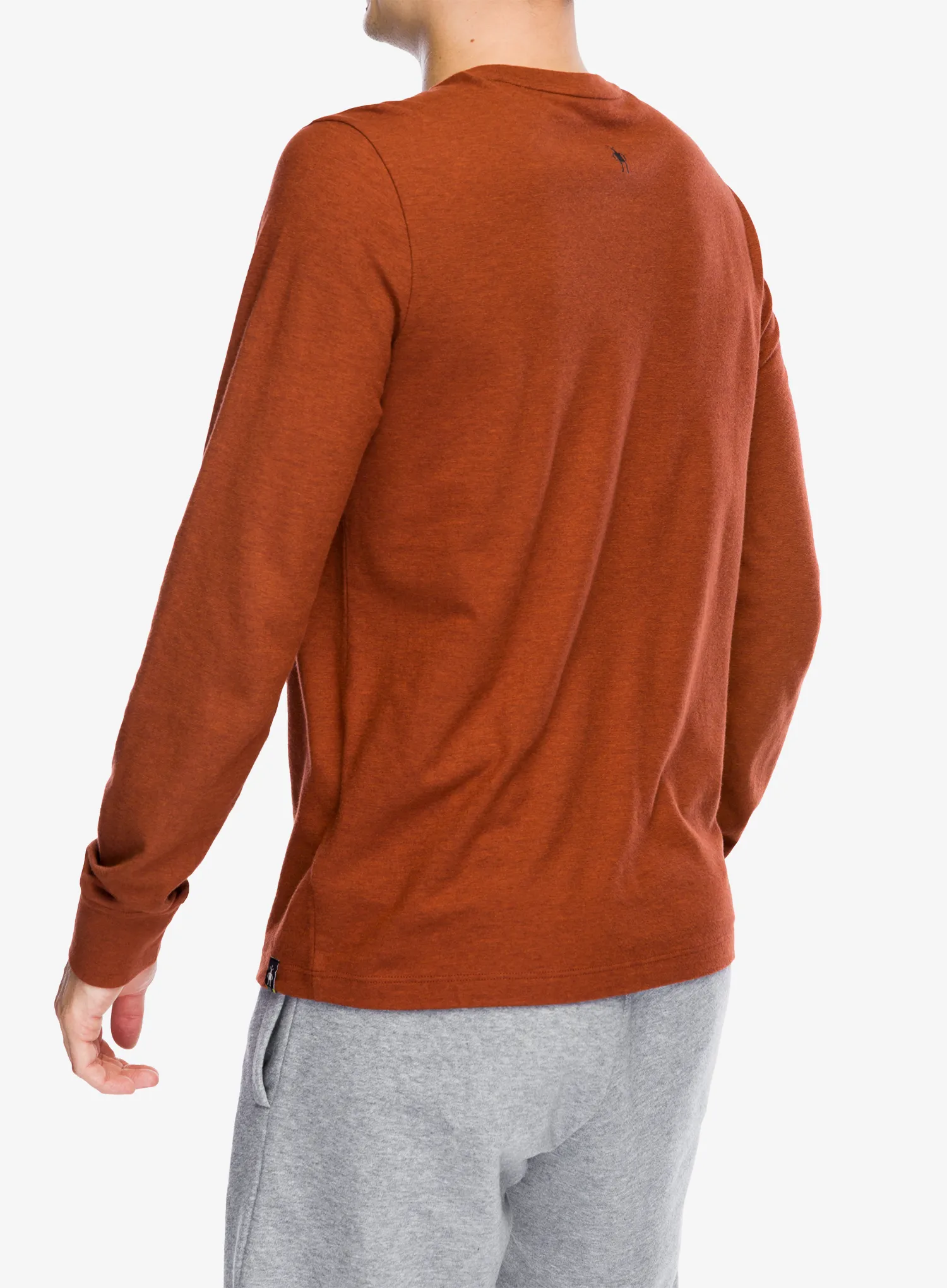 Mikina bez kapuce Smartwool Gondola Ride Graphic Long Sleeve Tee - pecan brown