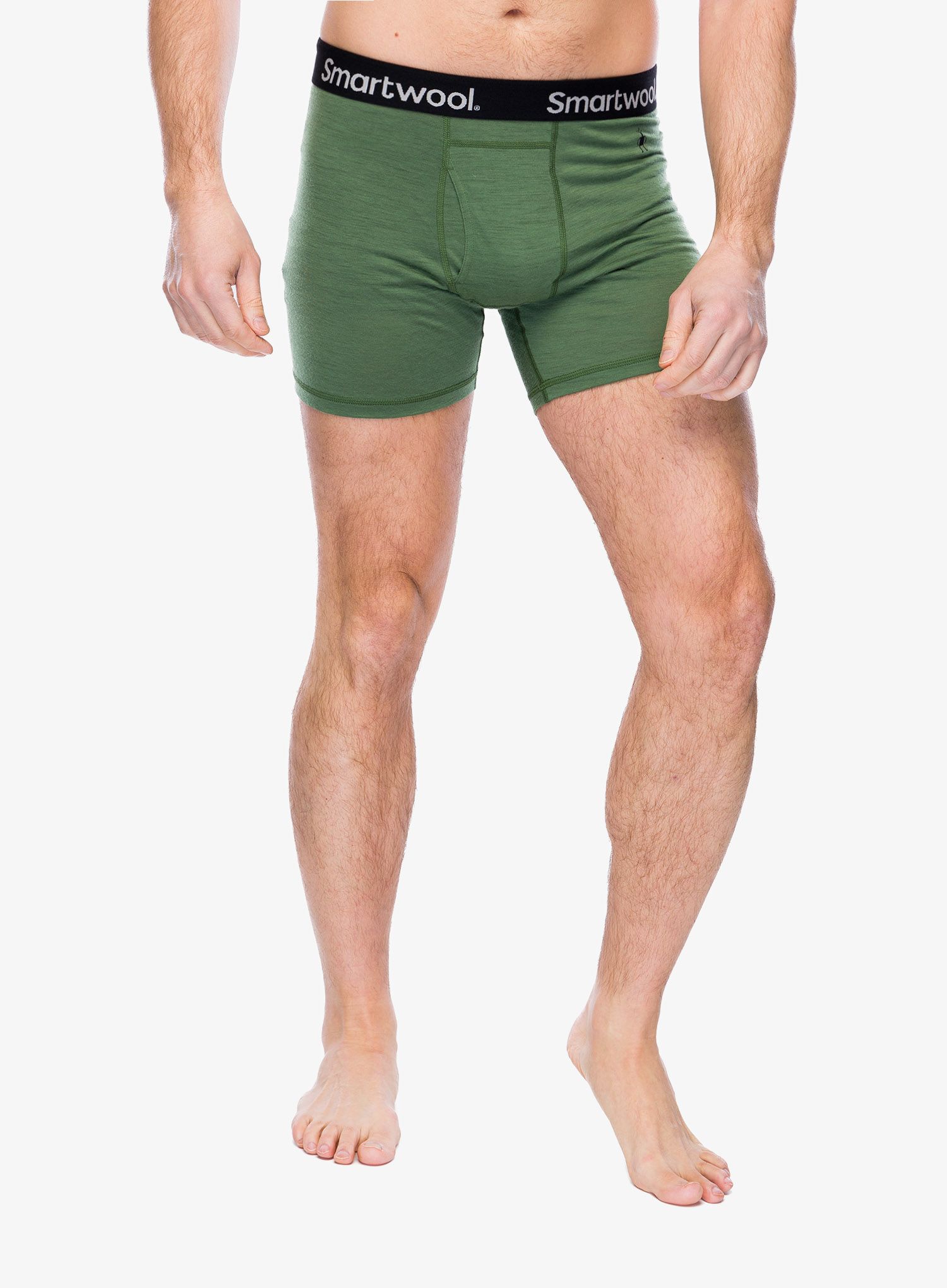 Funkční boxerky Smartwool Merino Boxer Brief Boxed - fern green